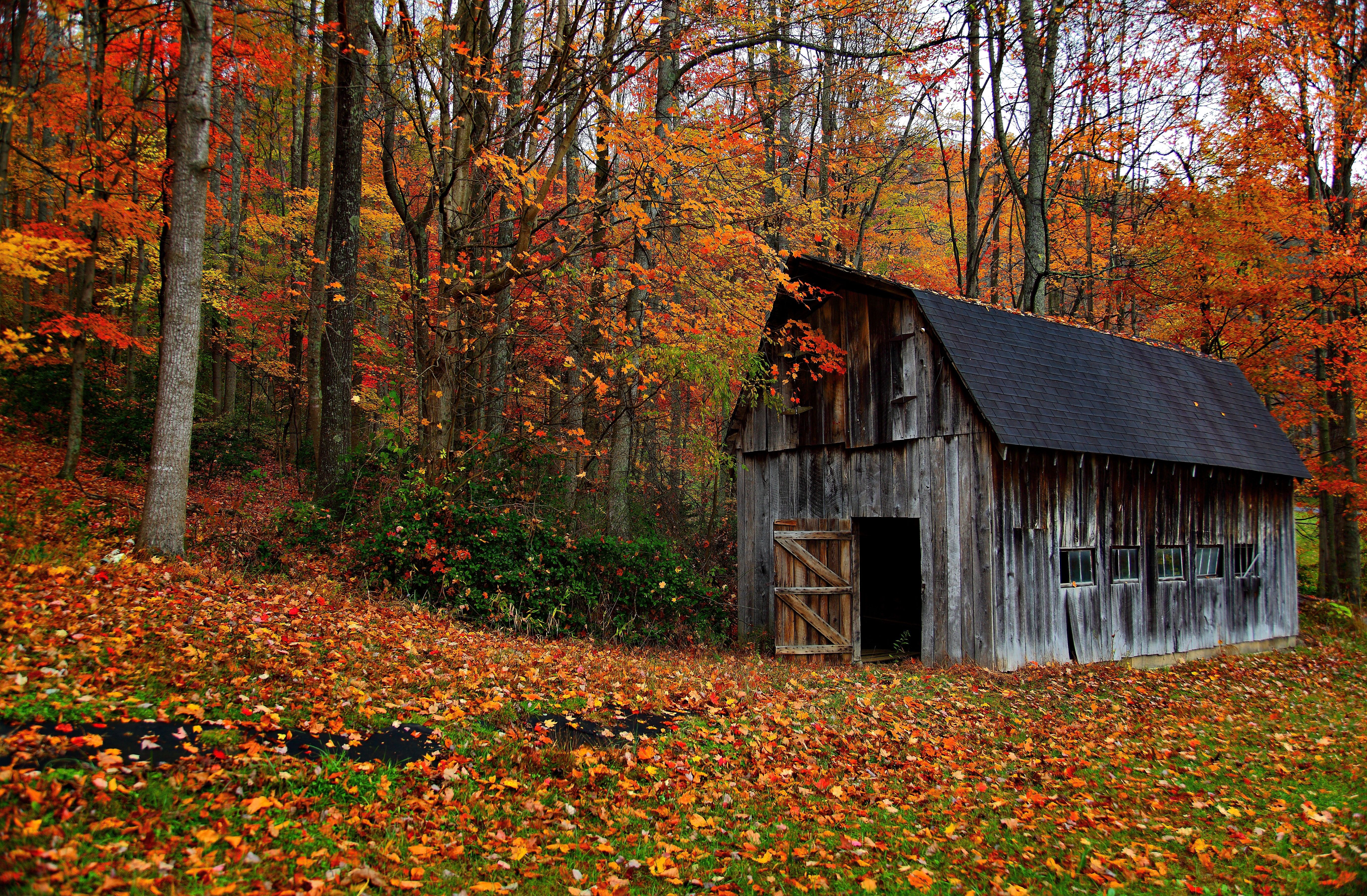 Fall Country Scenes Wallpaper