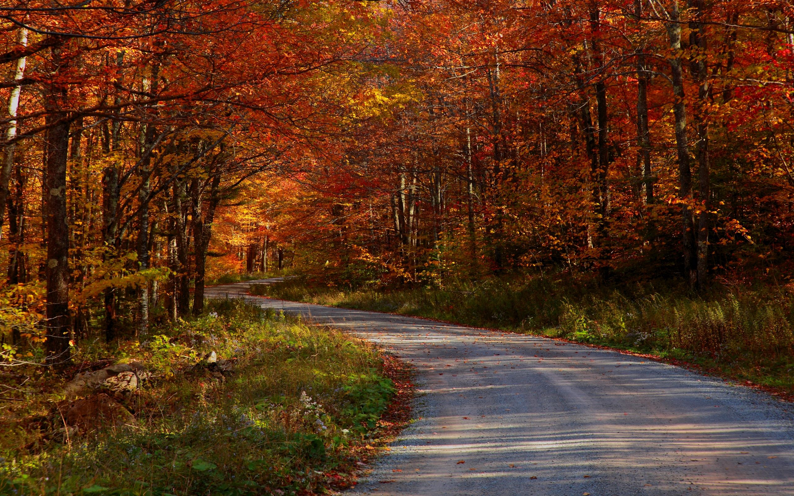 Free download Autumn Wallpaper COUNTRY ROADSTAKE ME HOME Wallpaper HD [2560x1600] for your Desktop, Mobile & Tablet. Explore Country Fall Wallpaper for Desktop. Free Desktop Wallpaper, Free Fall Wallpaper