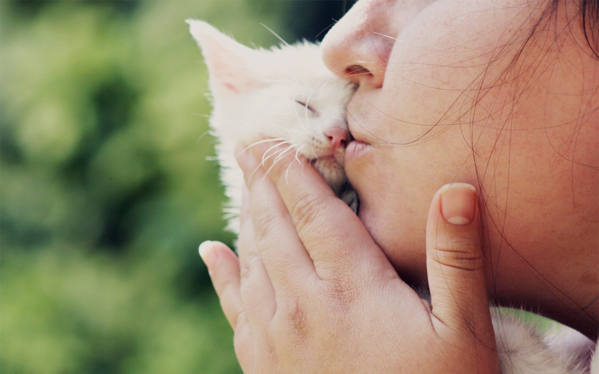 Girl Kissing Small White Cat wallpaper. Girl Kissing Small White Cat