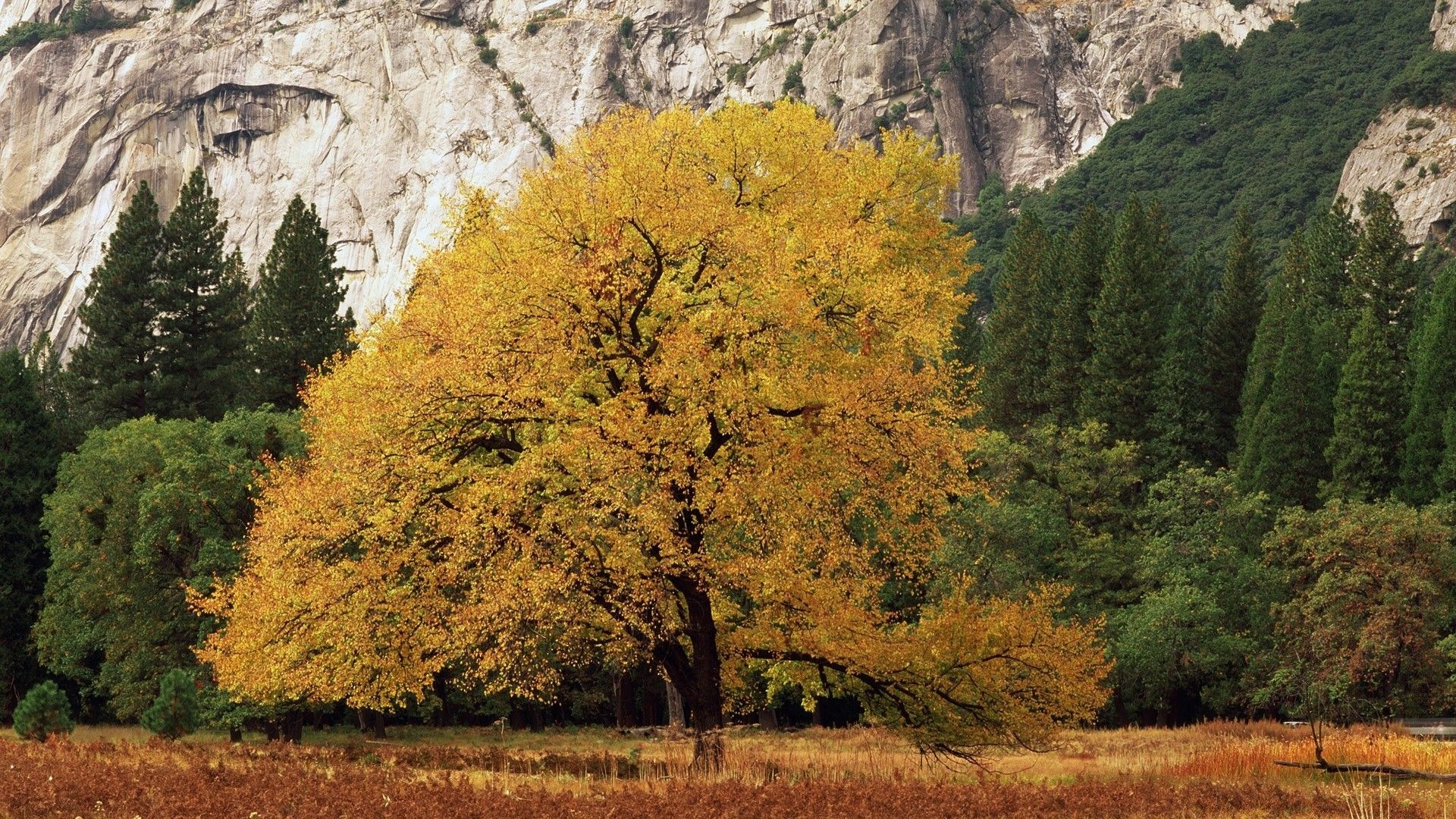 Yosemite National Park California Fall
