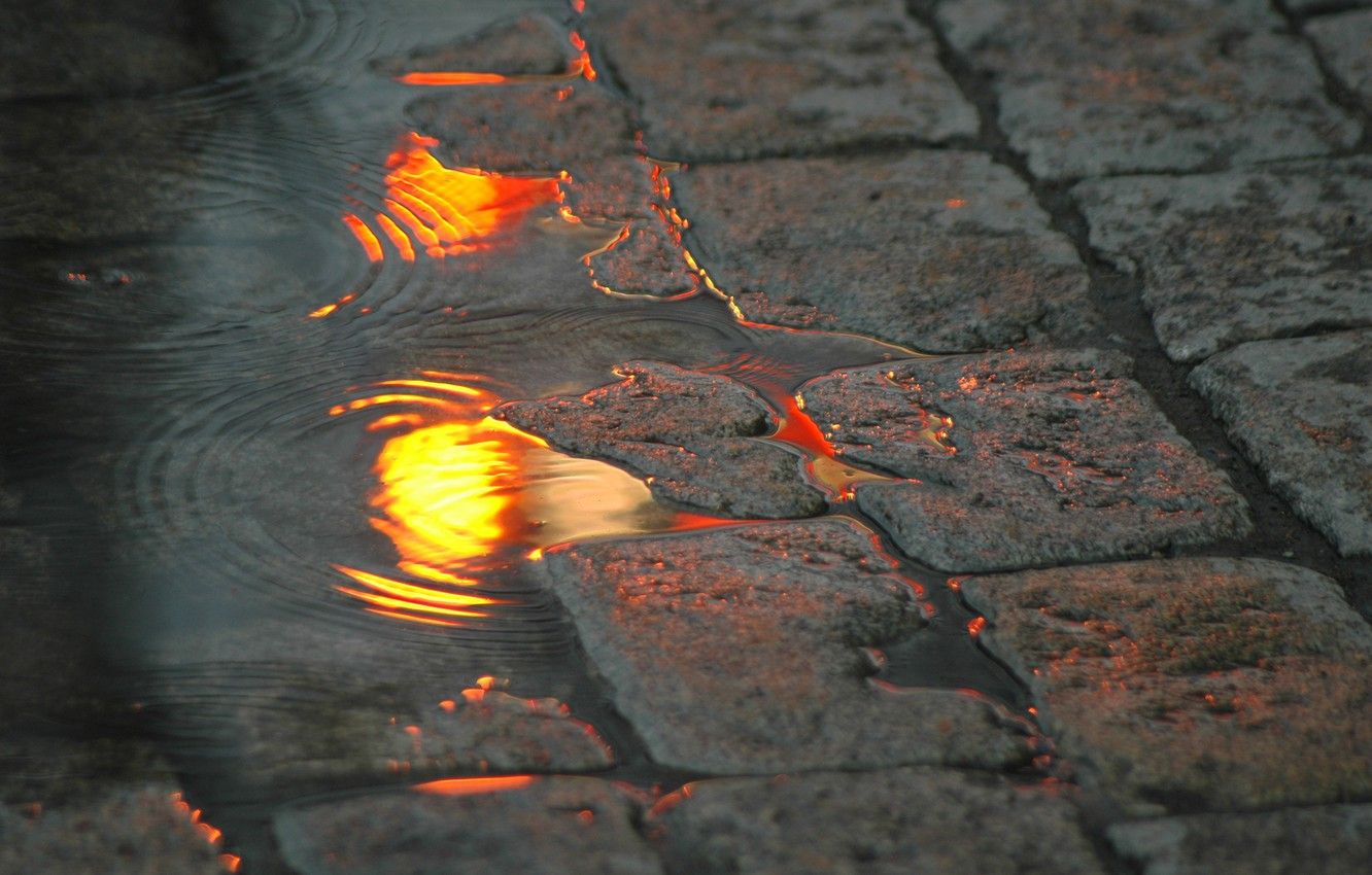 Wallpaper water, lights, reflection, street, pavers, puddle image for desktop, section город