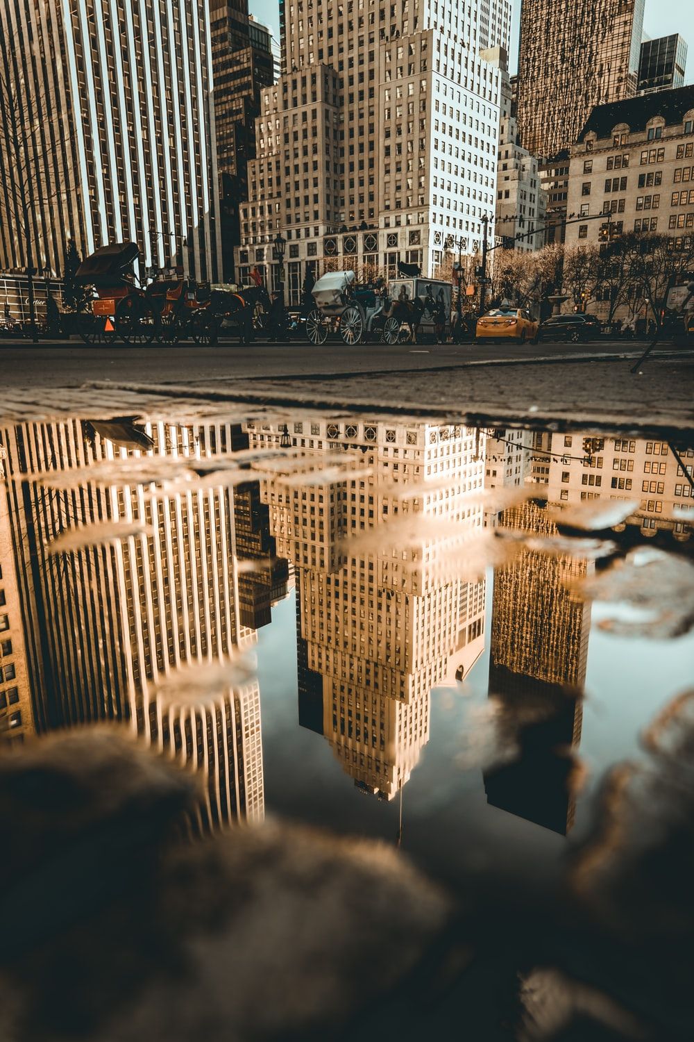Puddle Reflection Picture. Download Free Image