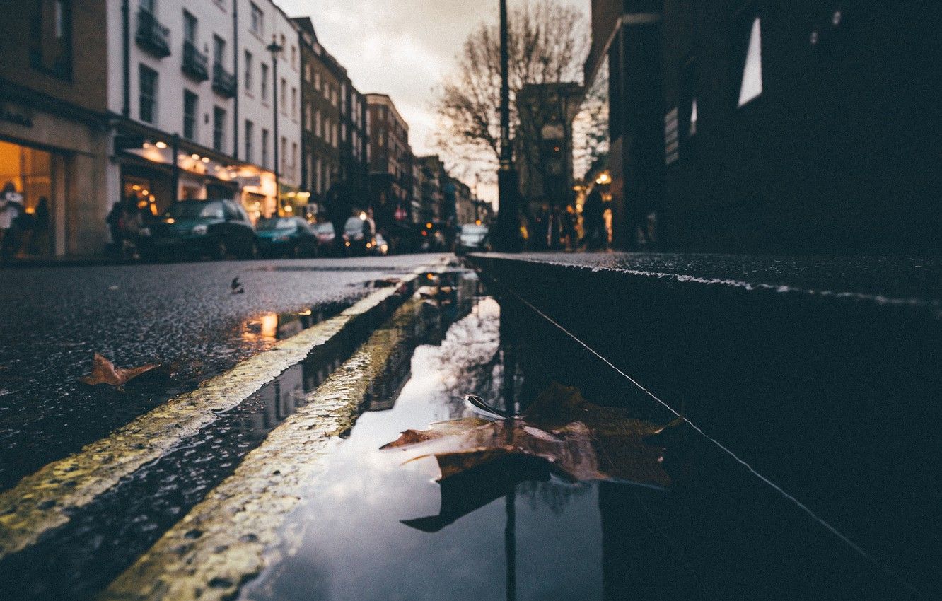 Wallpaper leaves, night, reflection, people, tree, street, mirror, puddle, cars, lamppost, rainy image for desktop, section город