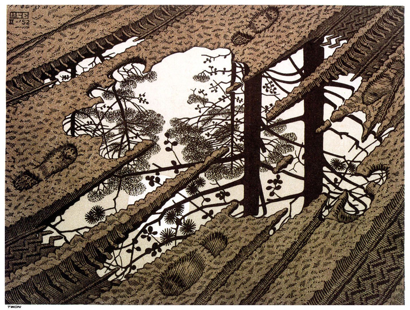 Puddle optical illusion mc escher art wallpaper