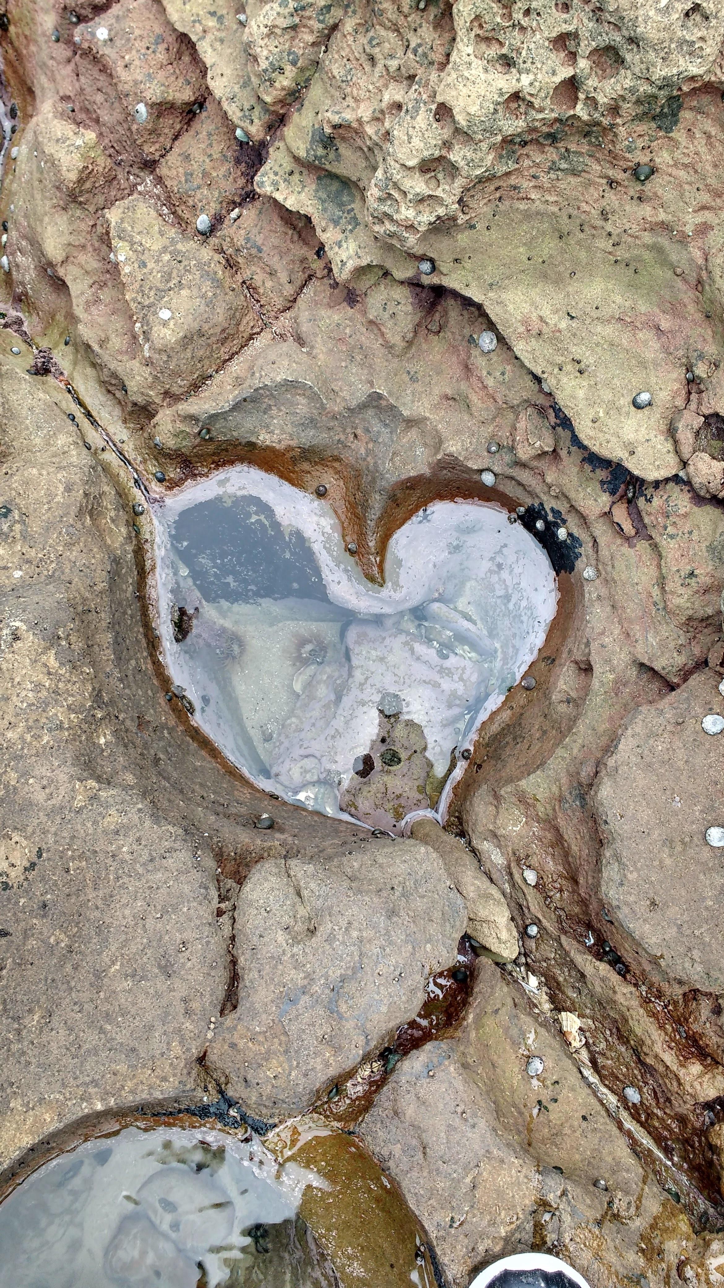 Thought this heart shaped puddle looked pretty nice. iPhone X Wallpaper X Wallpaper HD