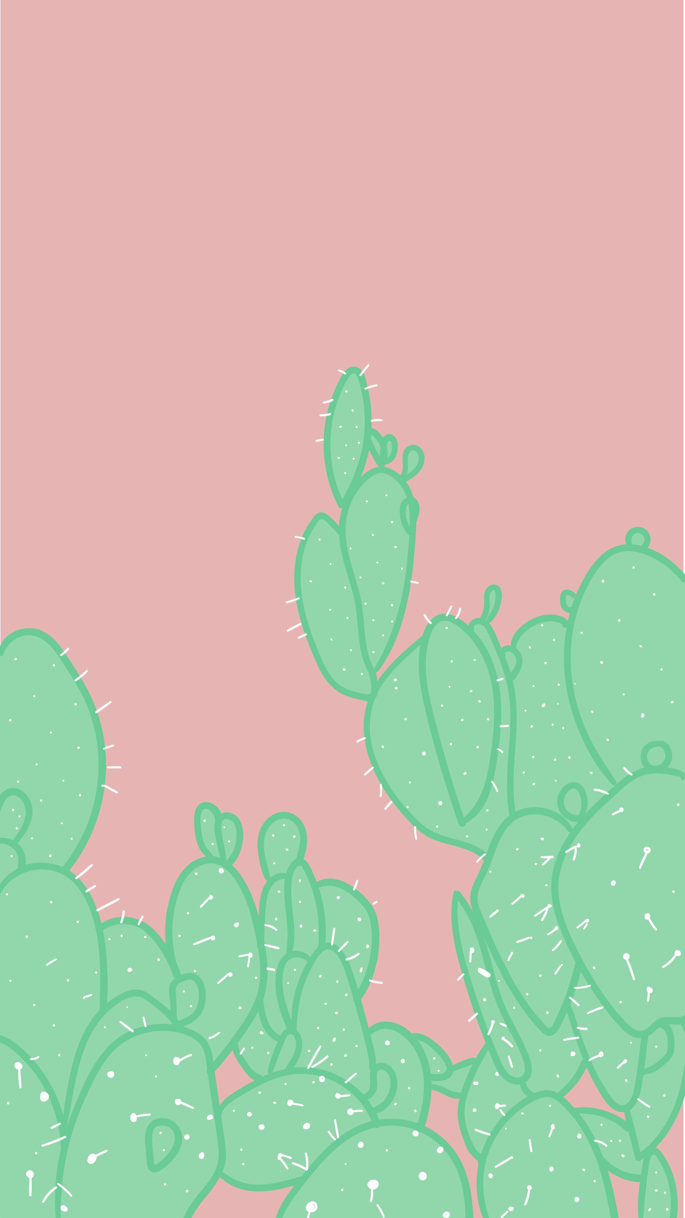arvowear #arvo #phonebackground #wallpaper #background #cactus #green #pink #prickly. Cactus background, Good phone background, Paper background texture