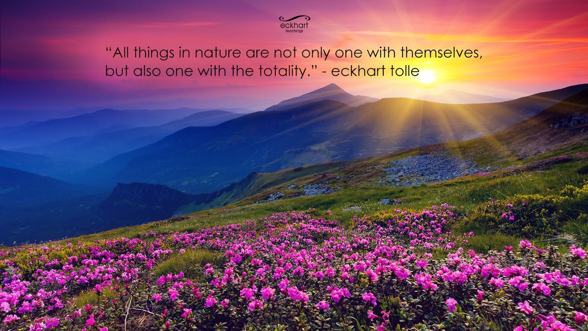 Eckhart Tolles Guide To Finding Peace Through Nature. Mountain landscape, Valley of flowers, Beautiful landscapes