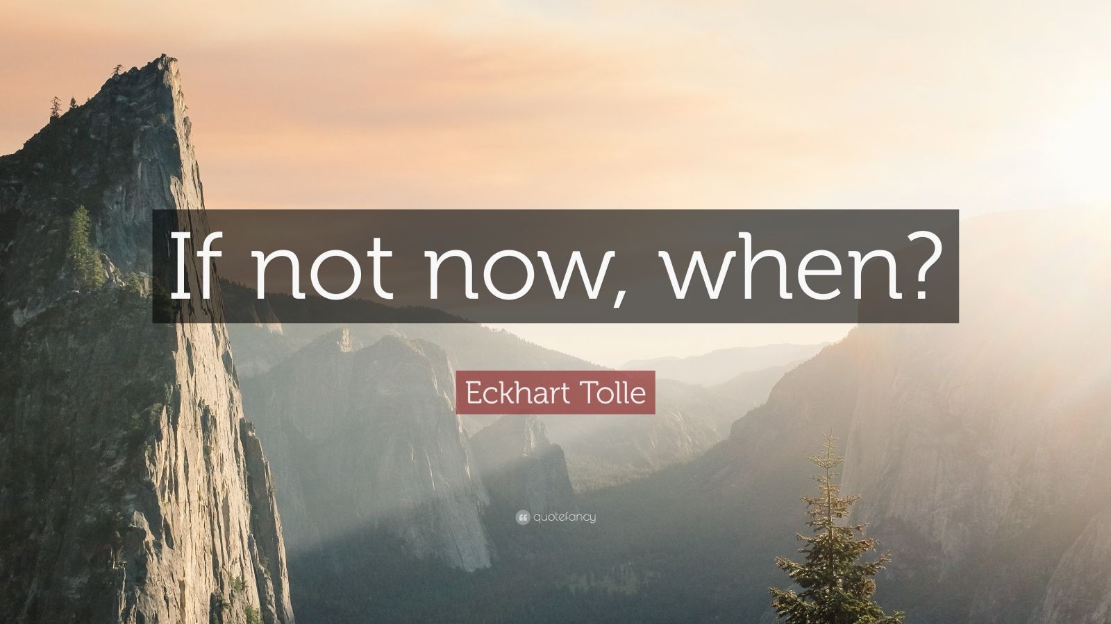 Eckhart Tolle Quote: “If not now, when?”. Inner beauty quotes, Inspirational quotes, Life