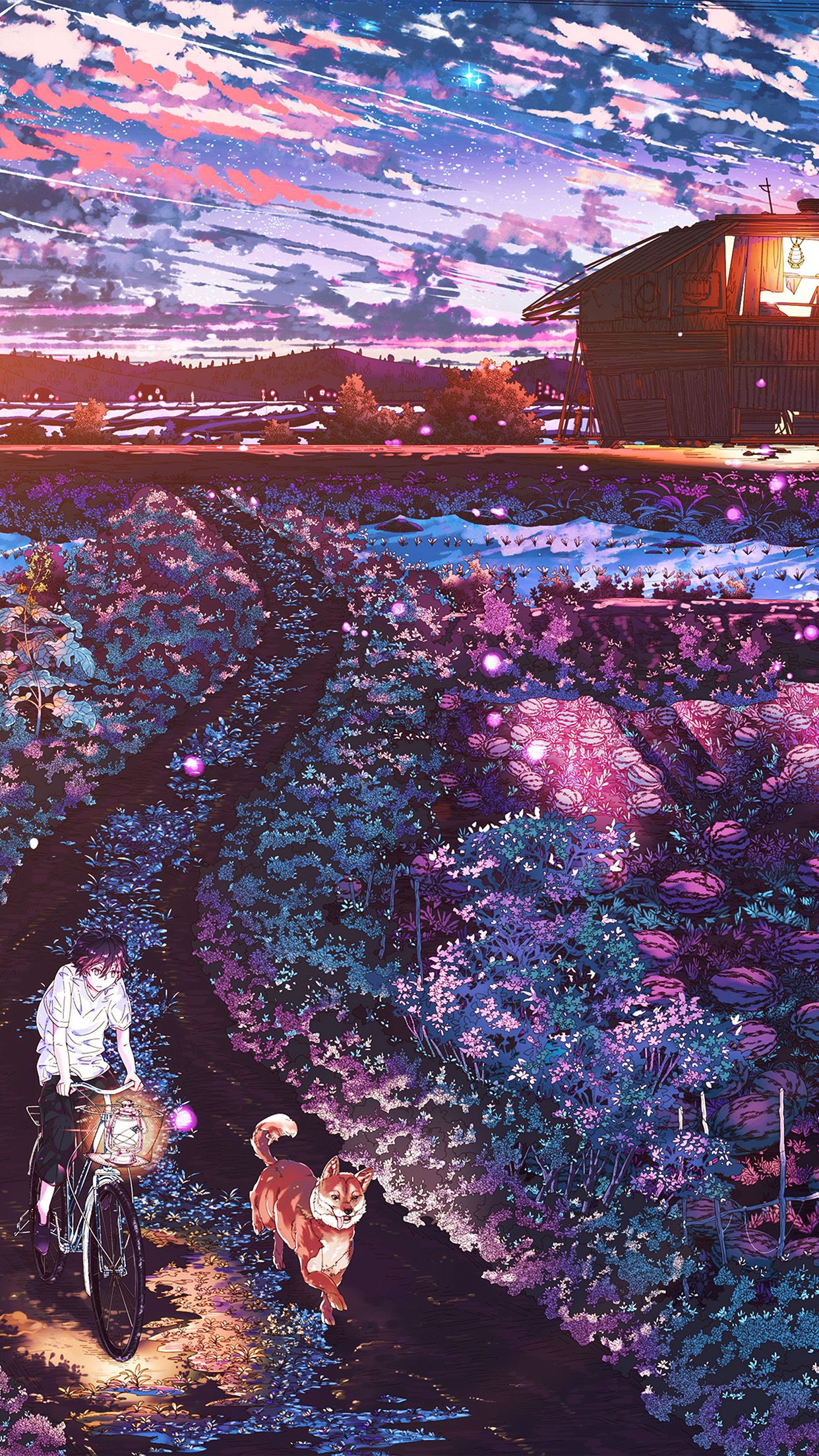 Anime Night Art Sunset Lovely Illustration Flare Android wallpaper HD wallpaper