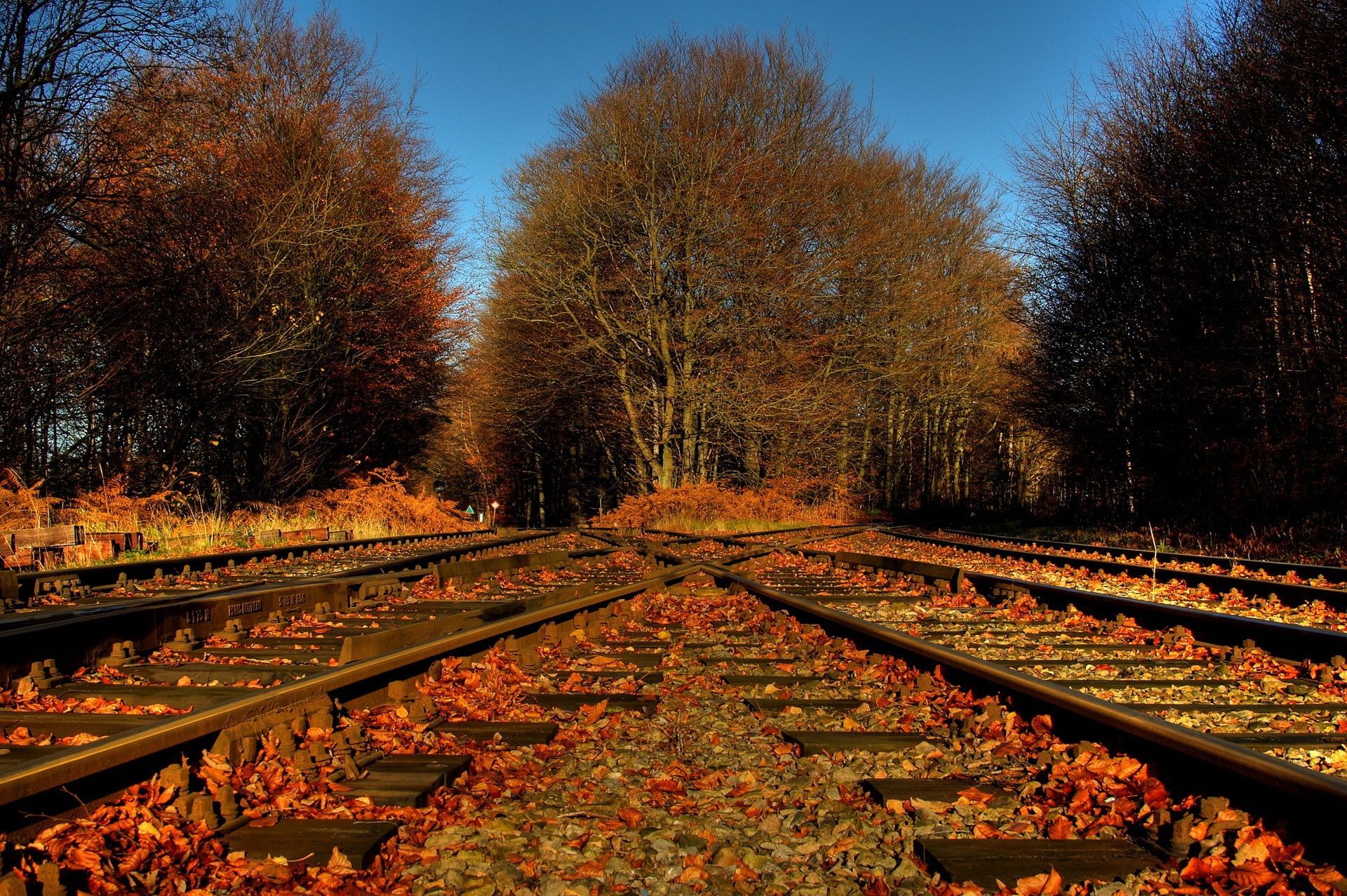 Trees foliage leaves railroad tracks crossing road autumn wallpaperx1277
