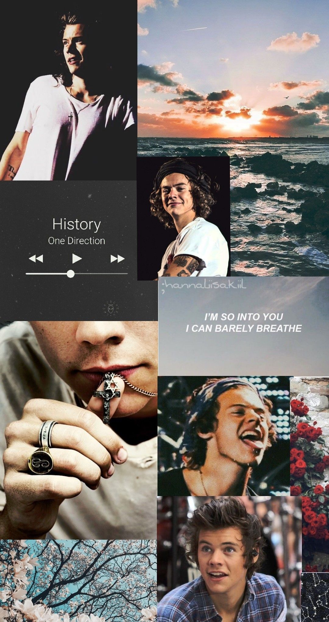 47+ Harry Styles Wallpaper Collage Background