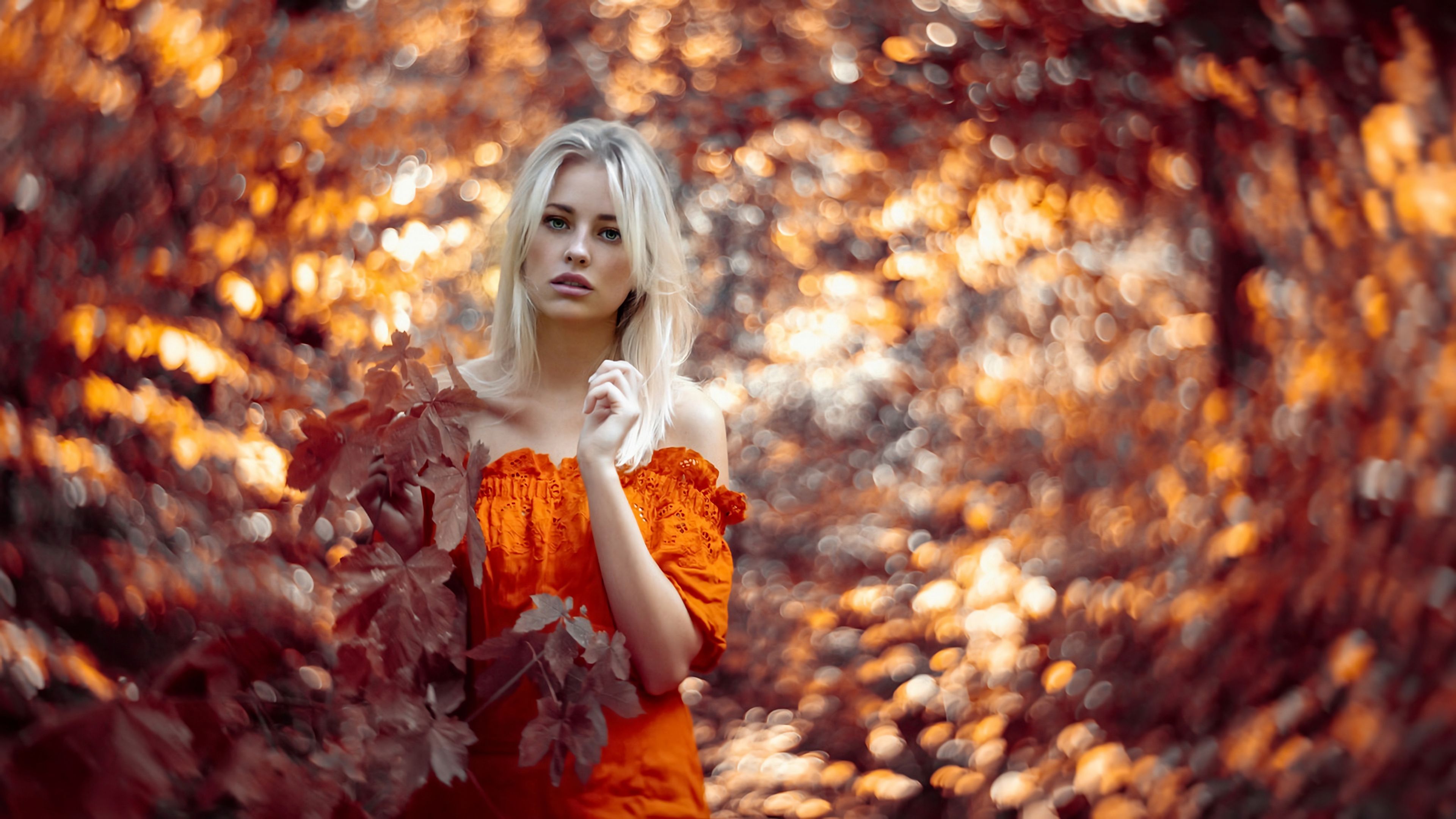 Autumn Girl Outdoor 4k, HD Girls, 4k Wallpaper, Image, Background, Photo and Picture