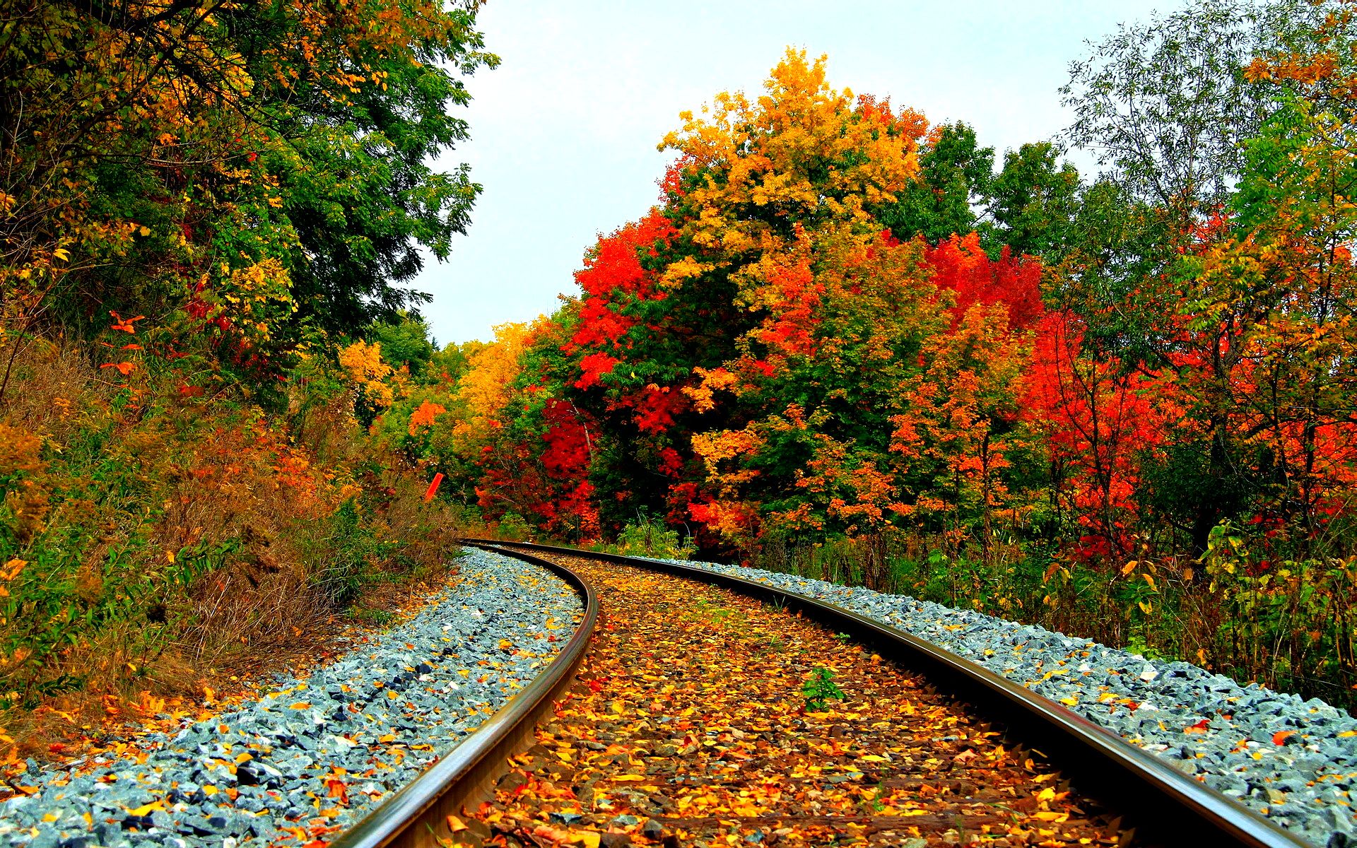 Fall Train Wallpaper