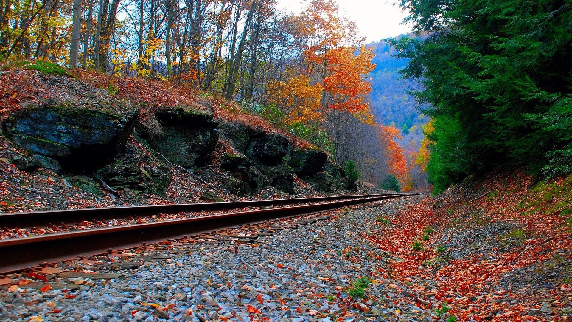 Download 1920x1080 Railroad in autumn wallpaper