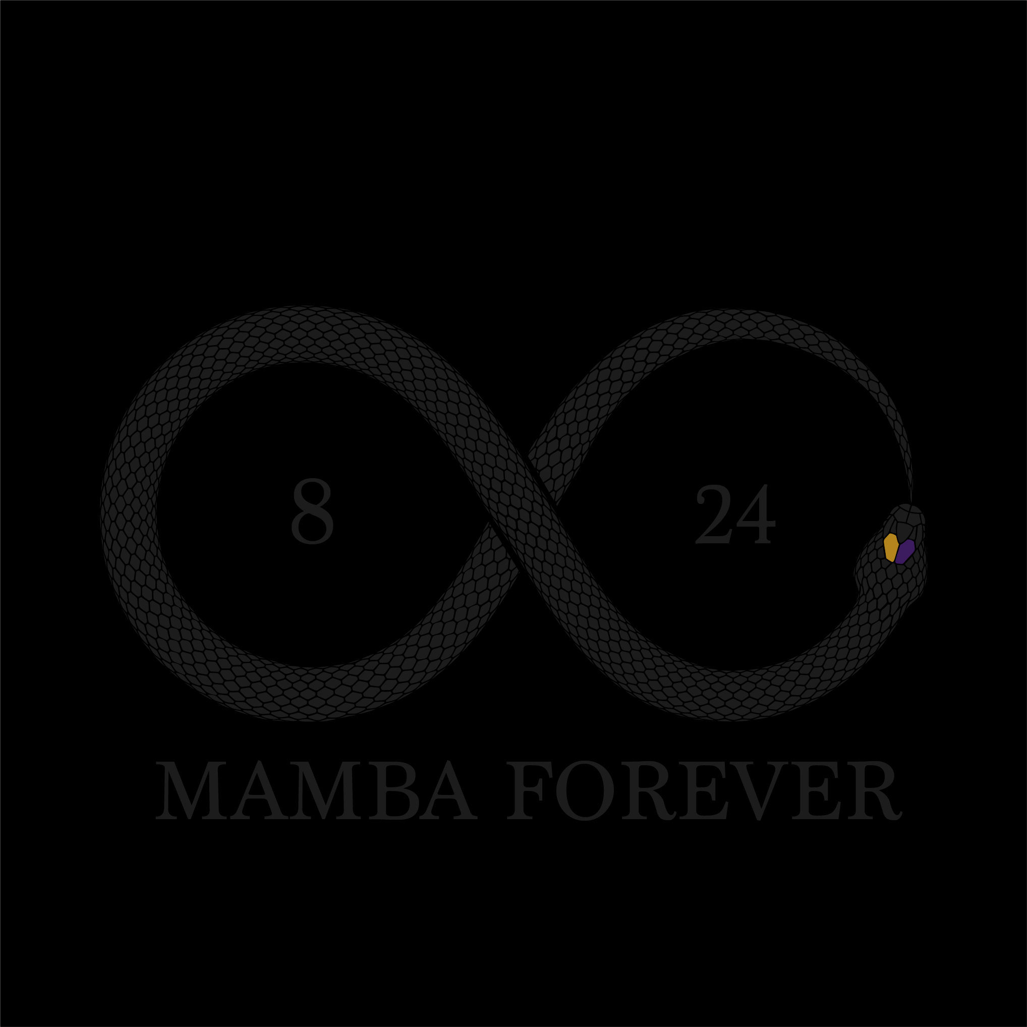my tribute to kobe. Mamba Forever