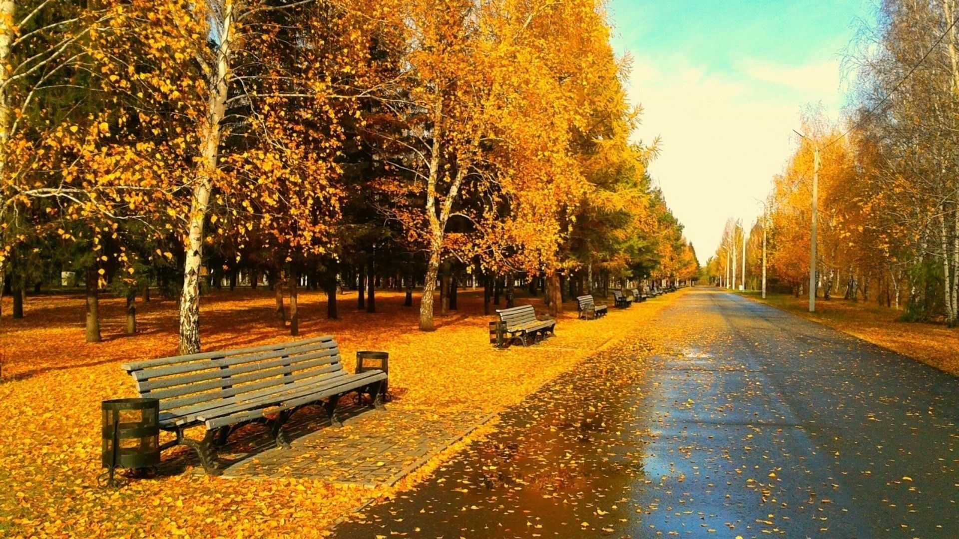 HD Autumn Wallpaper. Background. Photo. Image
