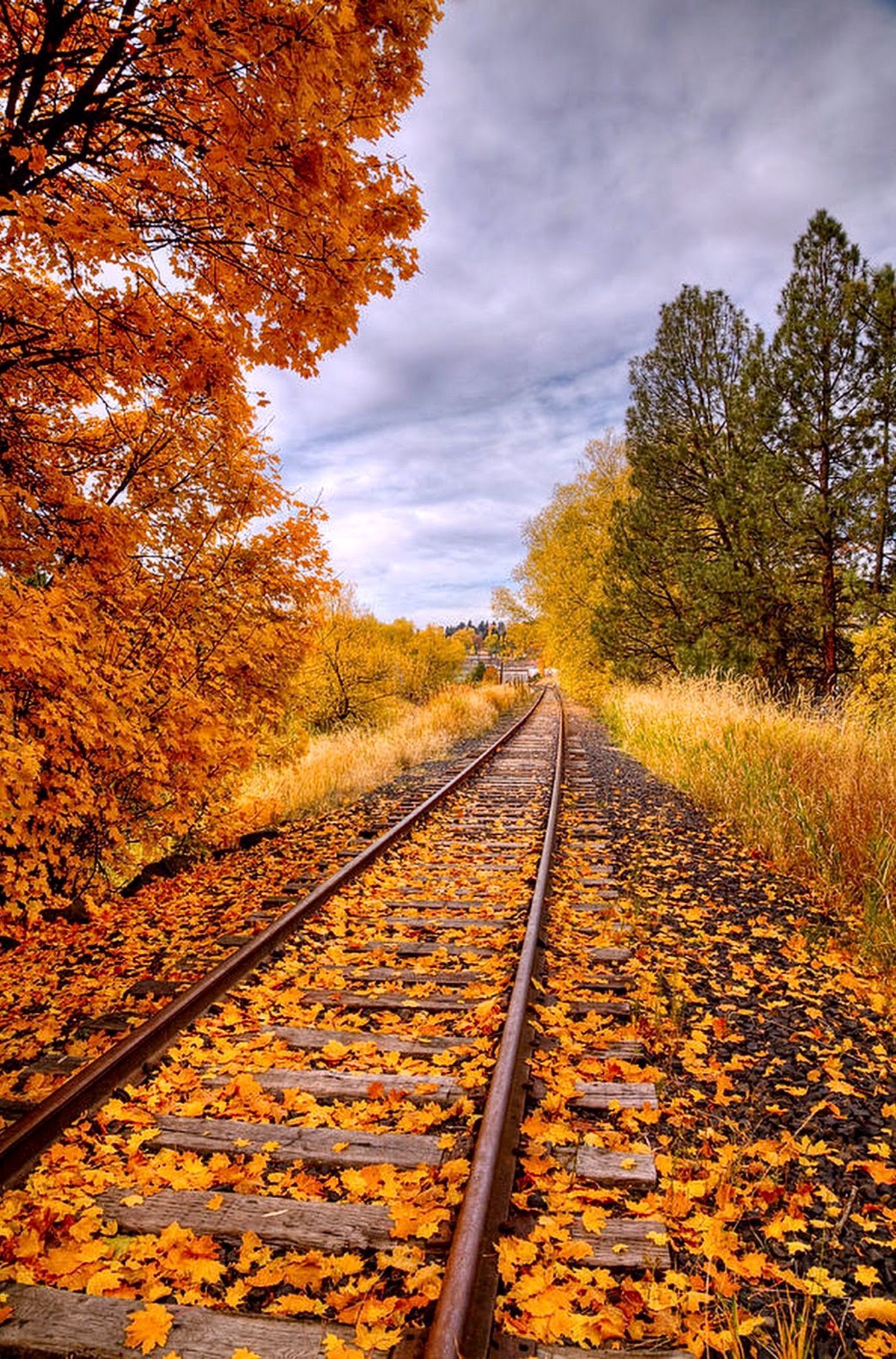 Autumn color on the railroad tracks. Located in downtown Pullman, Washington. Photo by David Patterson. Source. Railroad tracks, Autumn scenery, Scenic railroads