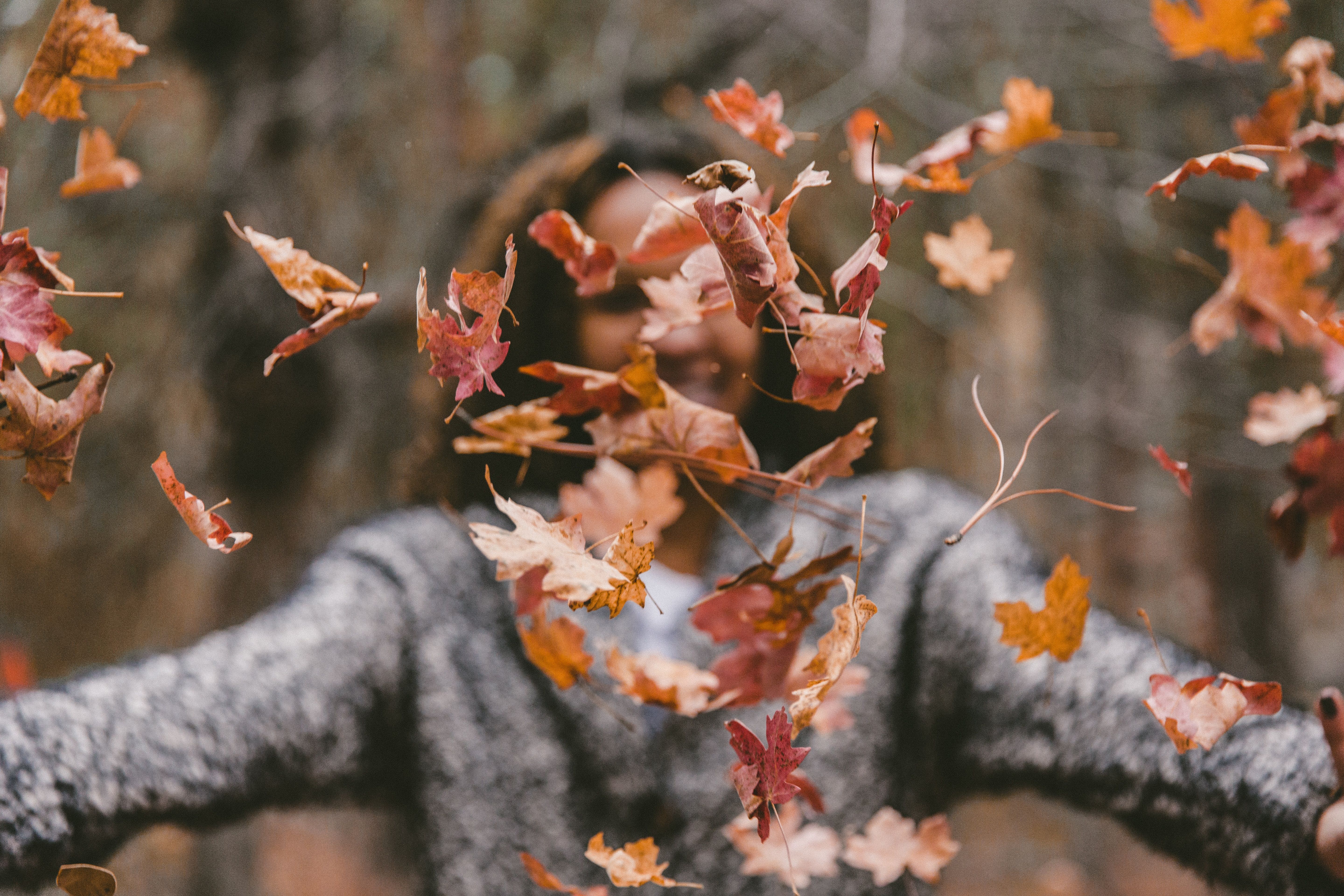 5760x3840 #nature, #outdoor, #fall wallpaper, #throwing, #happy, #Free image, #wallpaper, #fall, #leaf, #leafe, #woman, #female, #autumn, #leaves, #lady, #arms, #fall background, #falling, #leafs, #throw, #autumnal. Mocah.org HD Desktop