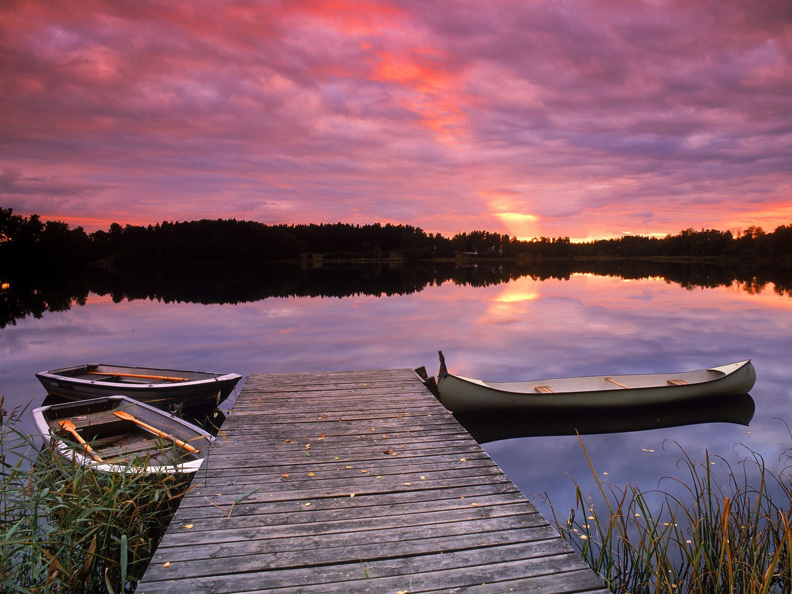 a lake in sweden. Lake sunset, Sunset wallpaper, Forest sunset