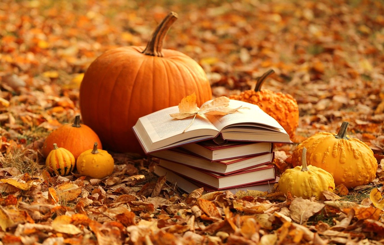 Wallpaper autumn, leaves, books, harvest, pumpkin, yellow, autumn, leaves, pumpkin, books, harvest image for desktop, section пейзажи