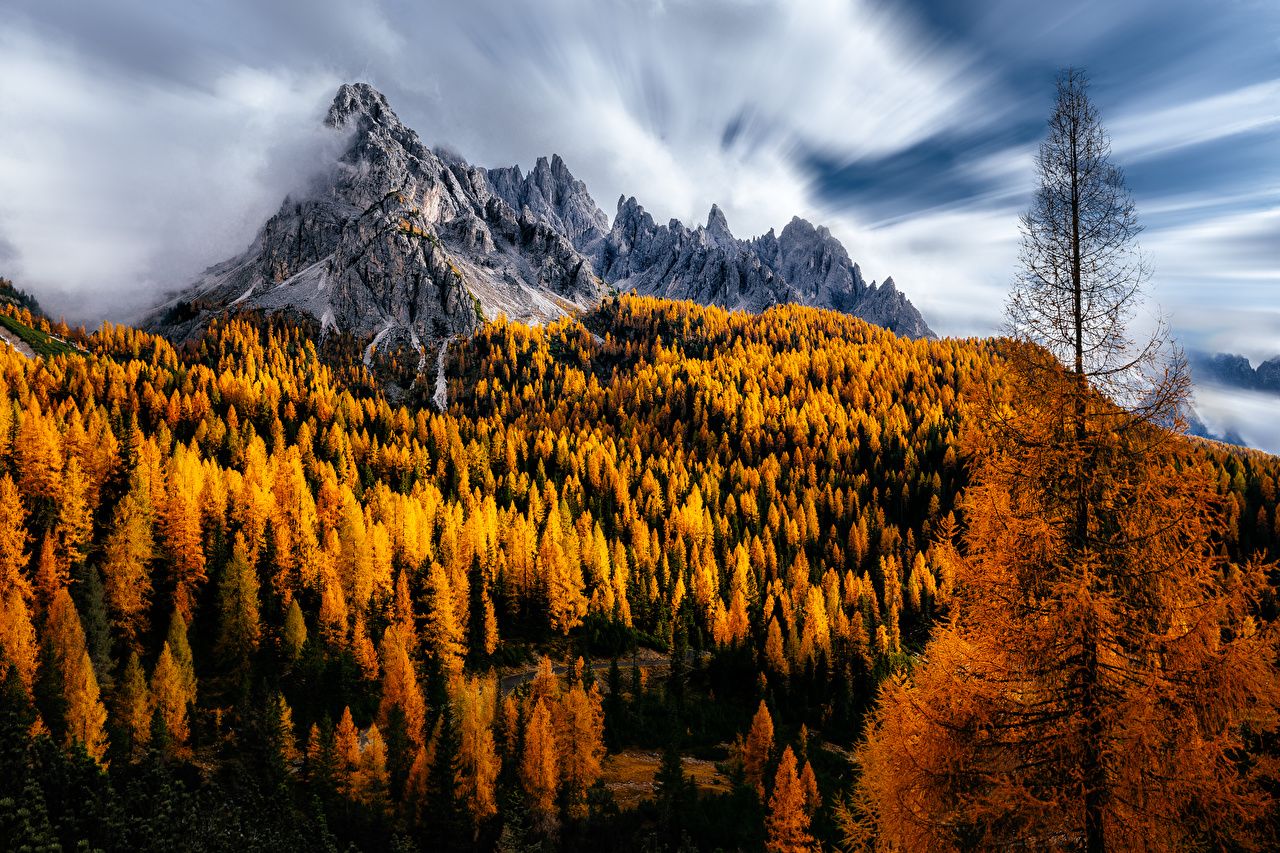 Image Italy Dolomites Nature Autumn Mountains Trees