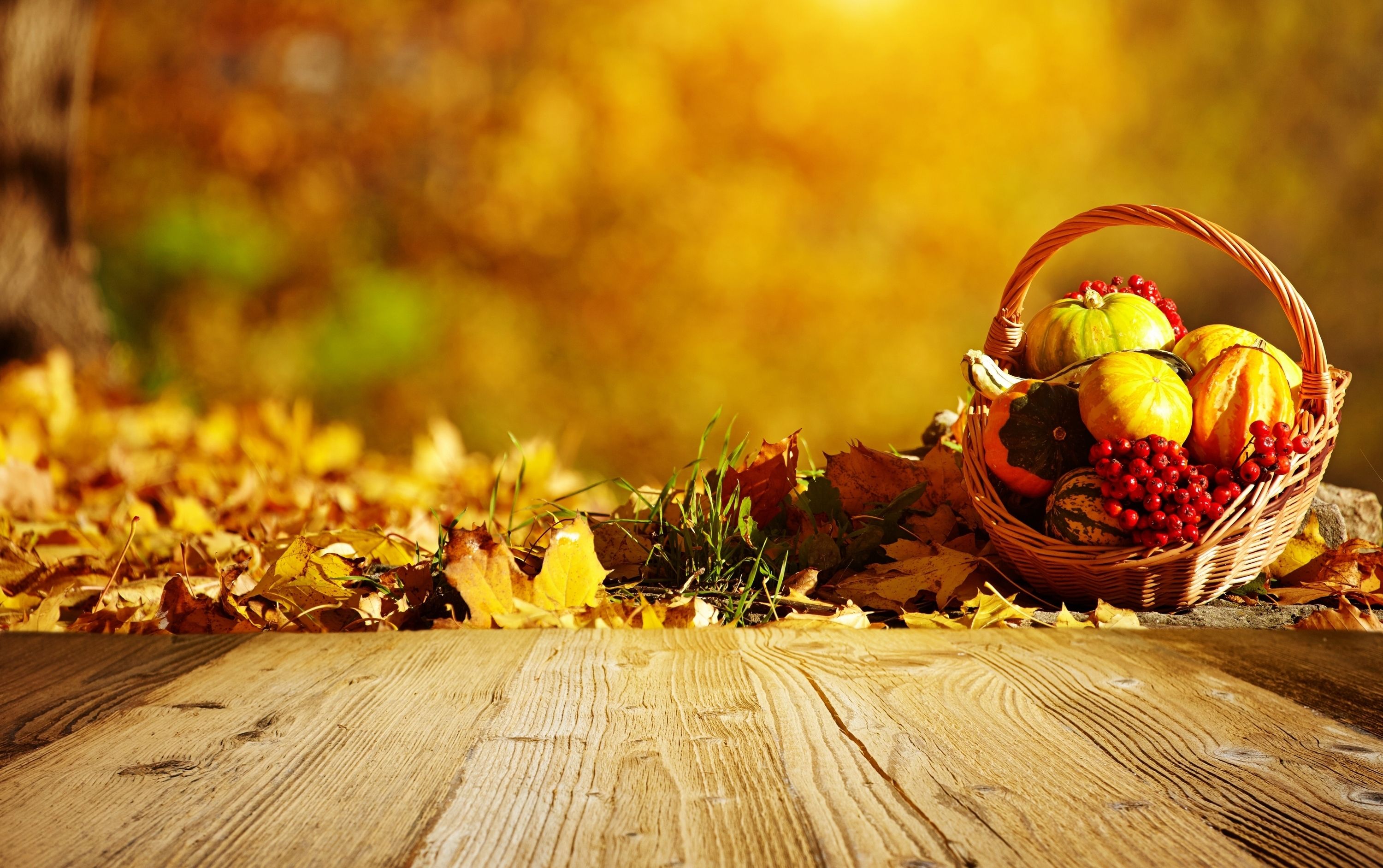 harvest, autumn, fall, leaves wallpaper