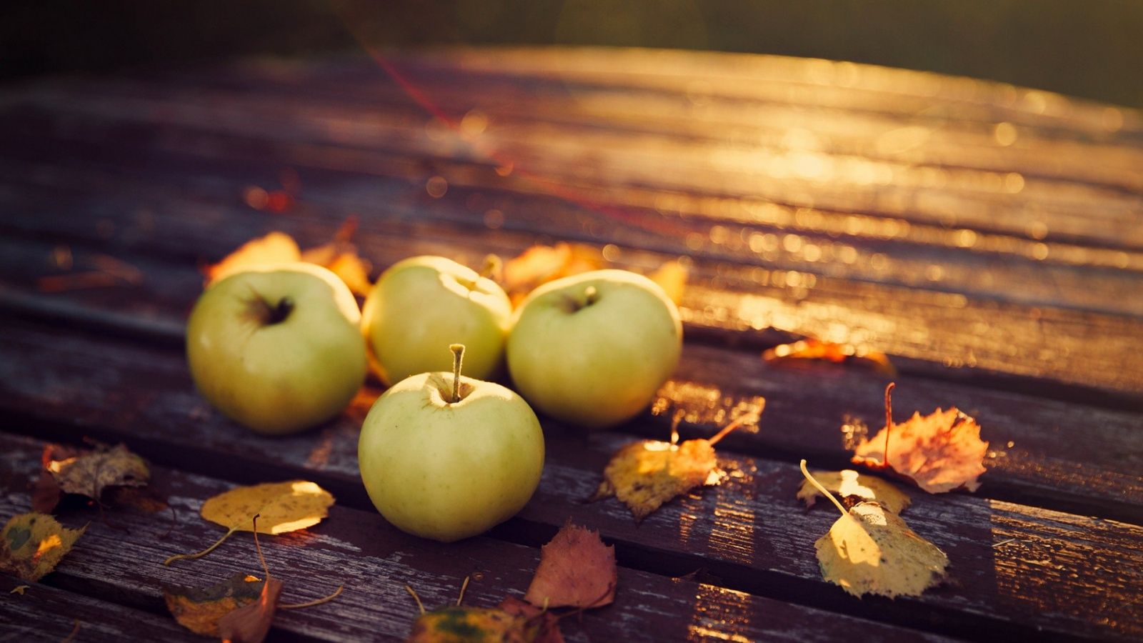 Apples Harvest Autumn Wallpaper