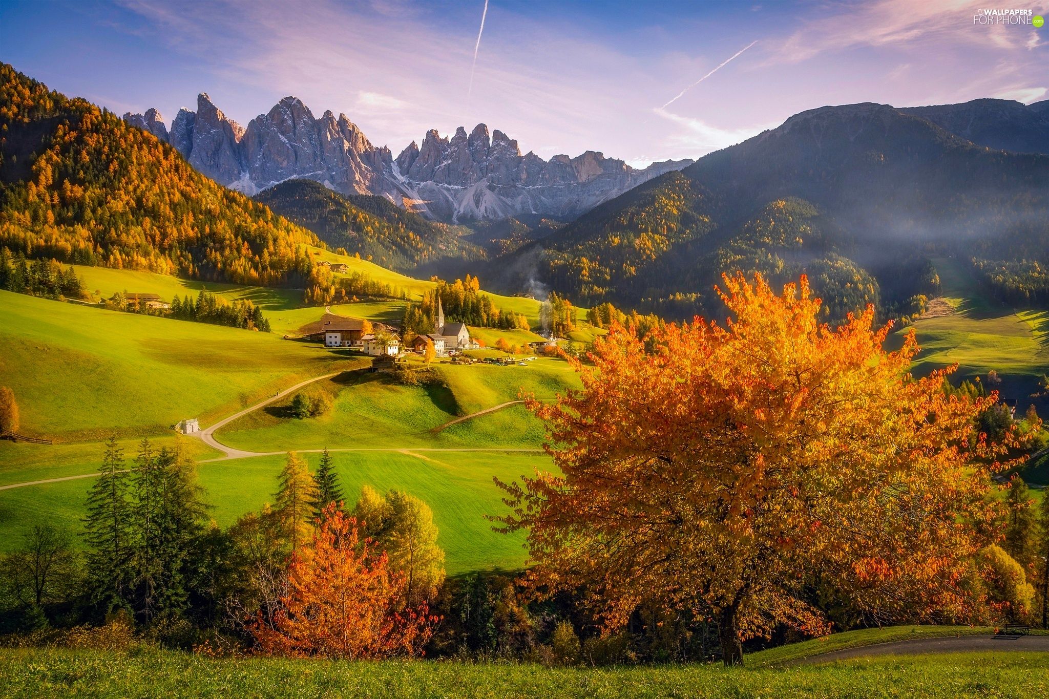 trees, woods, viewes, Mountains, Village of Santa Maddalena, Houses, autumn, Italy, Church, Massif Odle, Val di Funes Valley, Dolomites phone wallpaper: 2048x1365