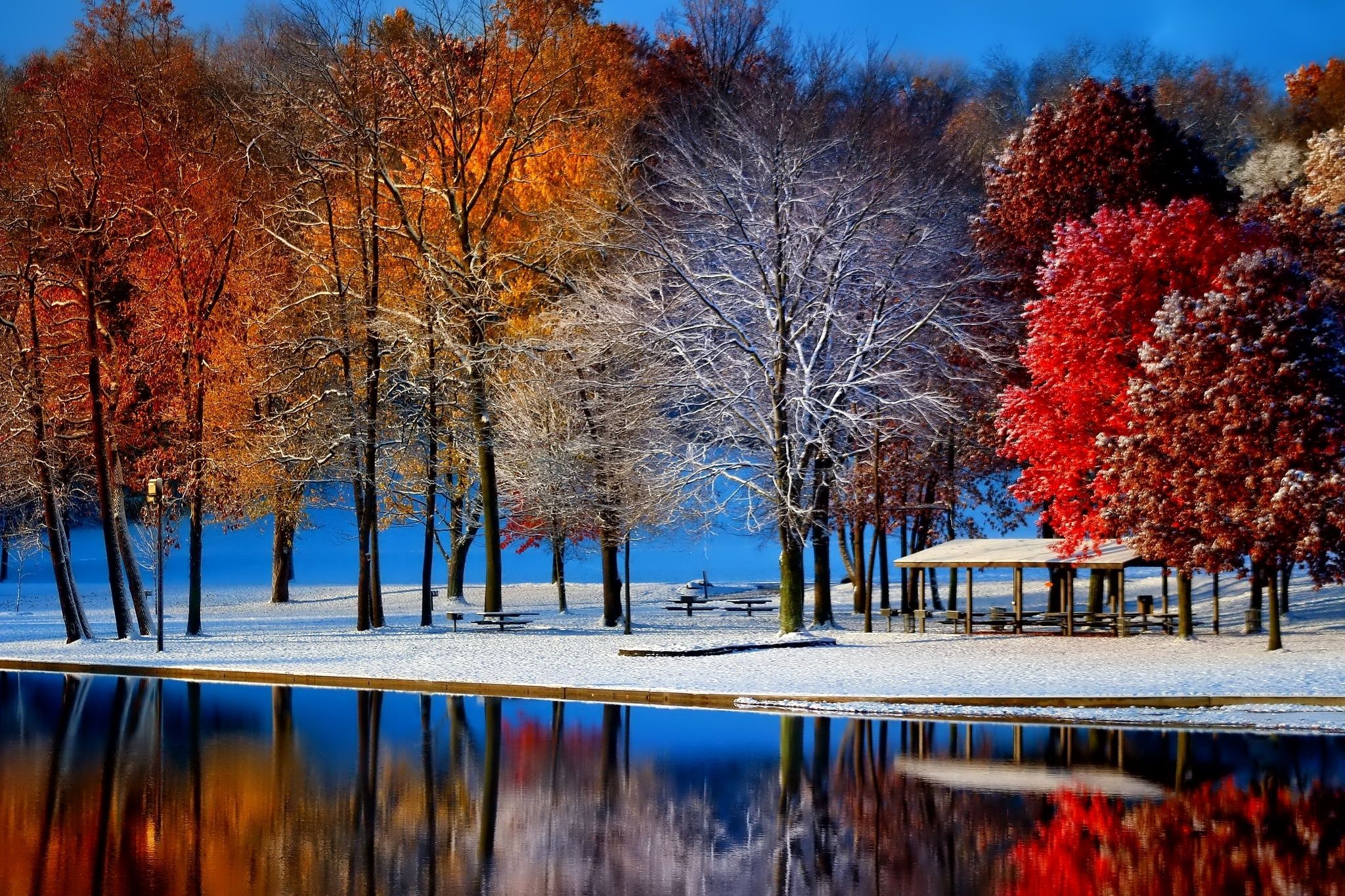 Wallpaper. Winter. photo. picture. late autumn, Park, the pond, trees, snow