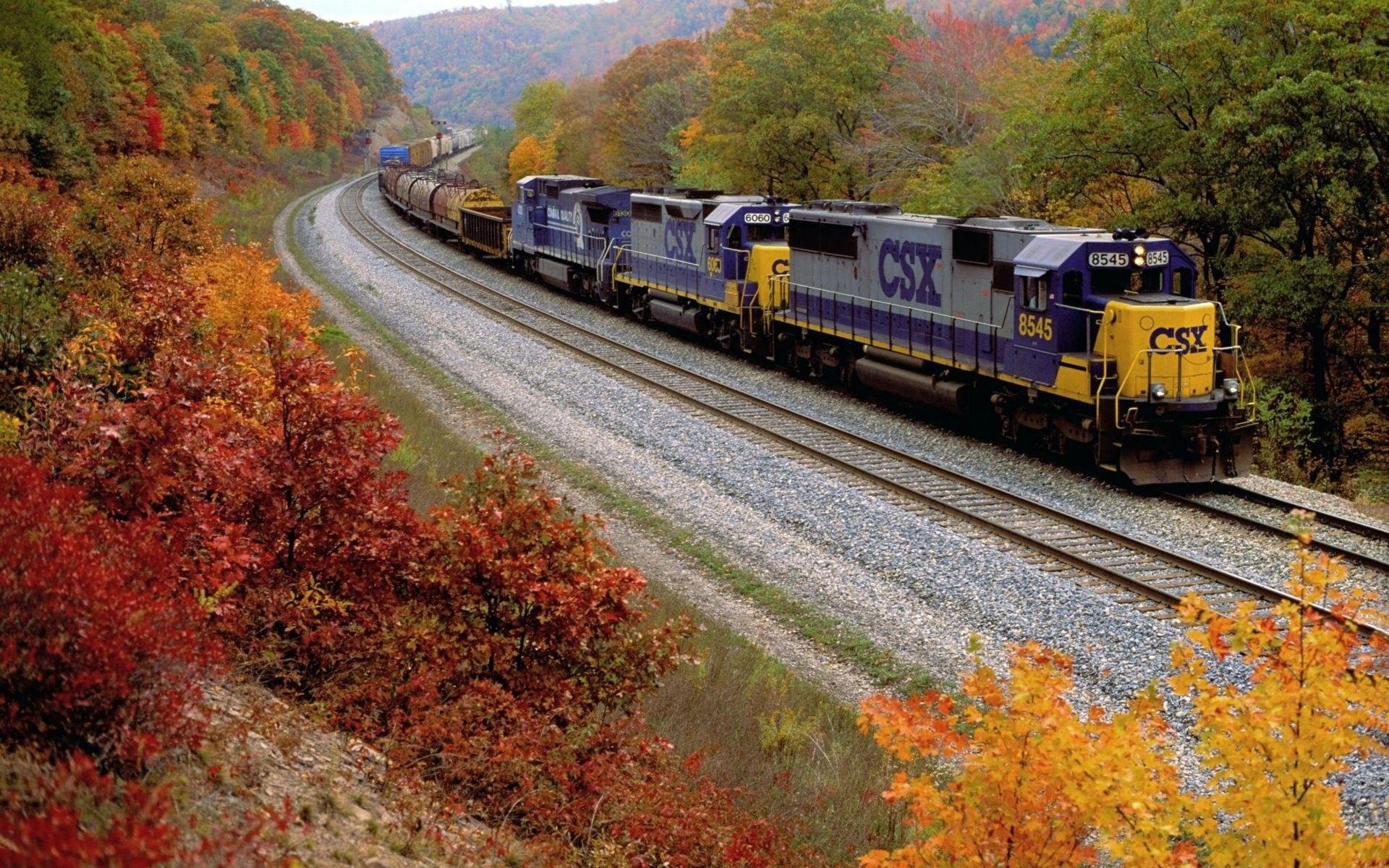 autumn, season, Trains, Railroad, Tracks, Vehicles Wallpaper HD / Desktop and Mobile Background