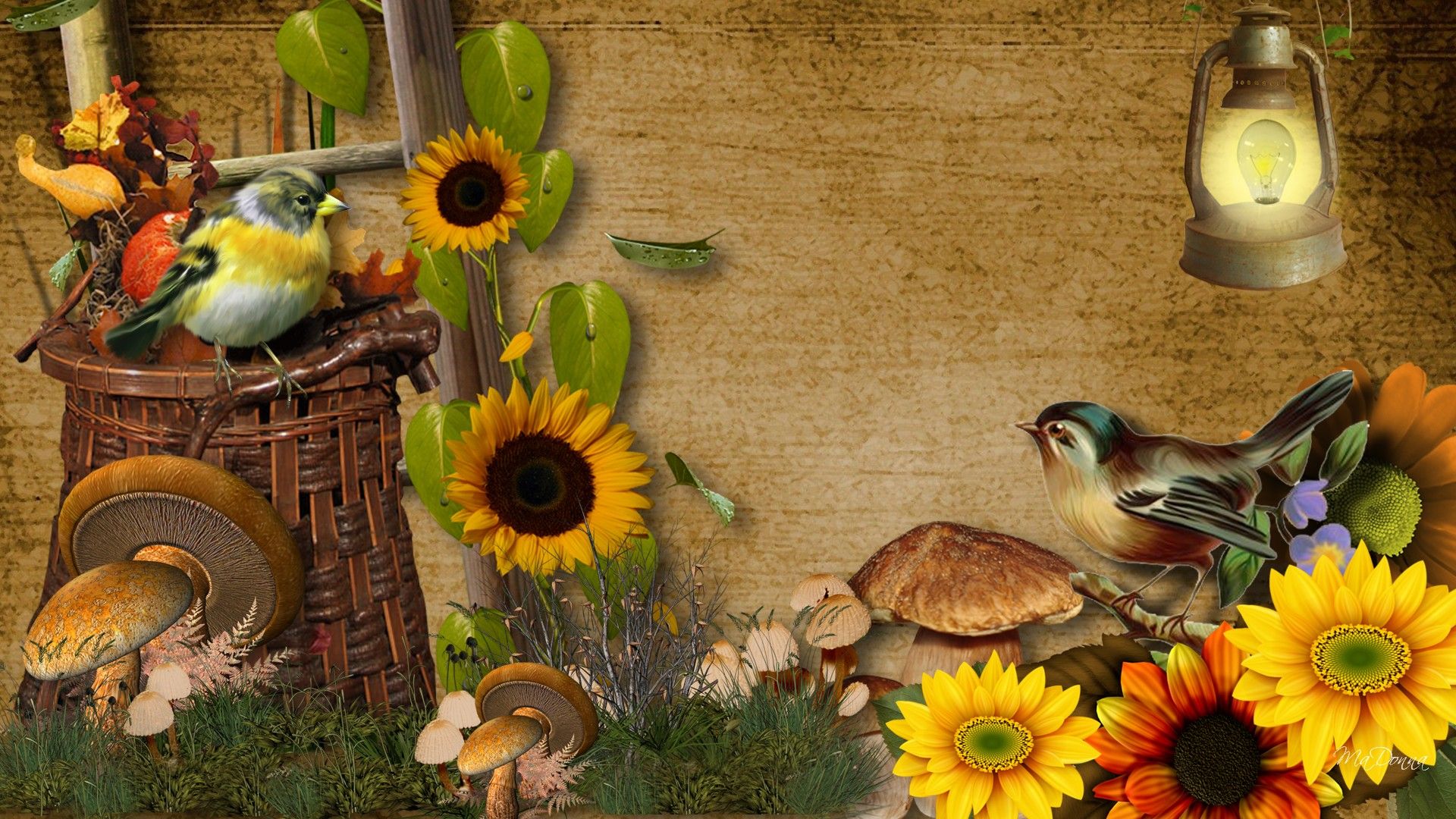 Fall Harvest Wallpaper HD Free Download > SubWallpaper