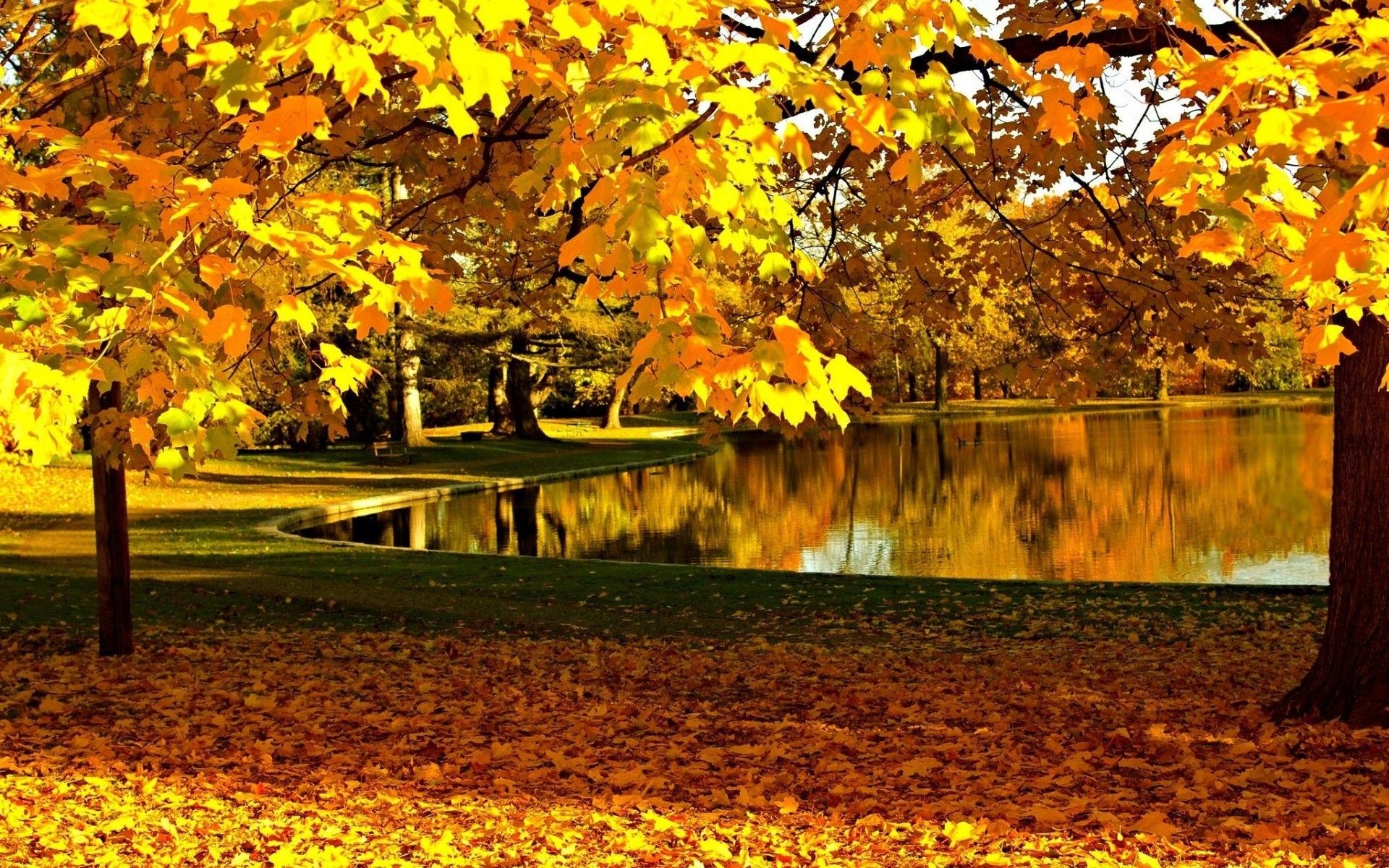 Pond Autumn Park Wallpapers - Wallpaper Cave