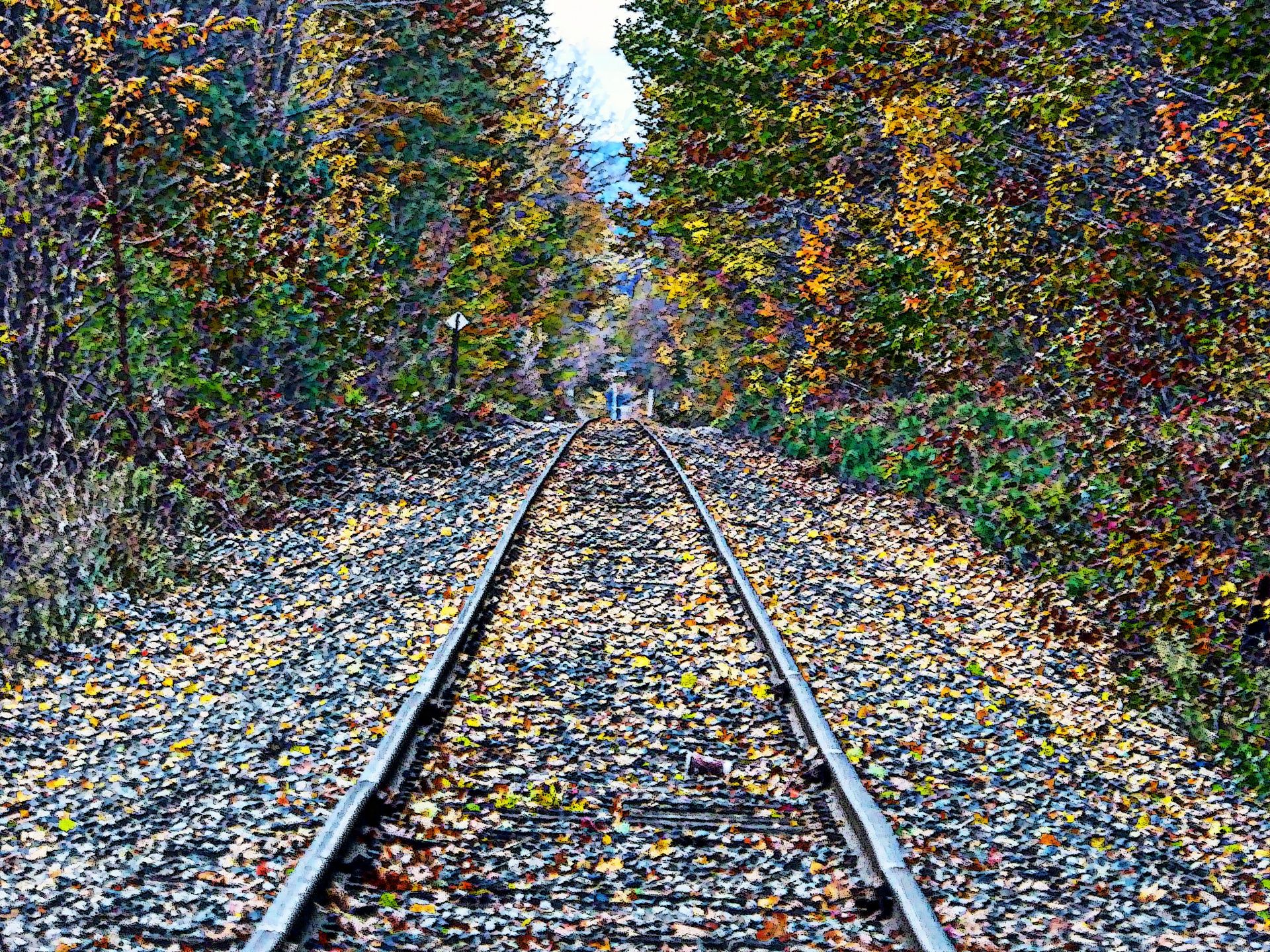 Autumn Railroad Tracks Free Domain Picture
