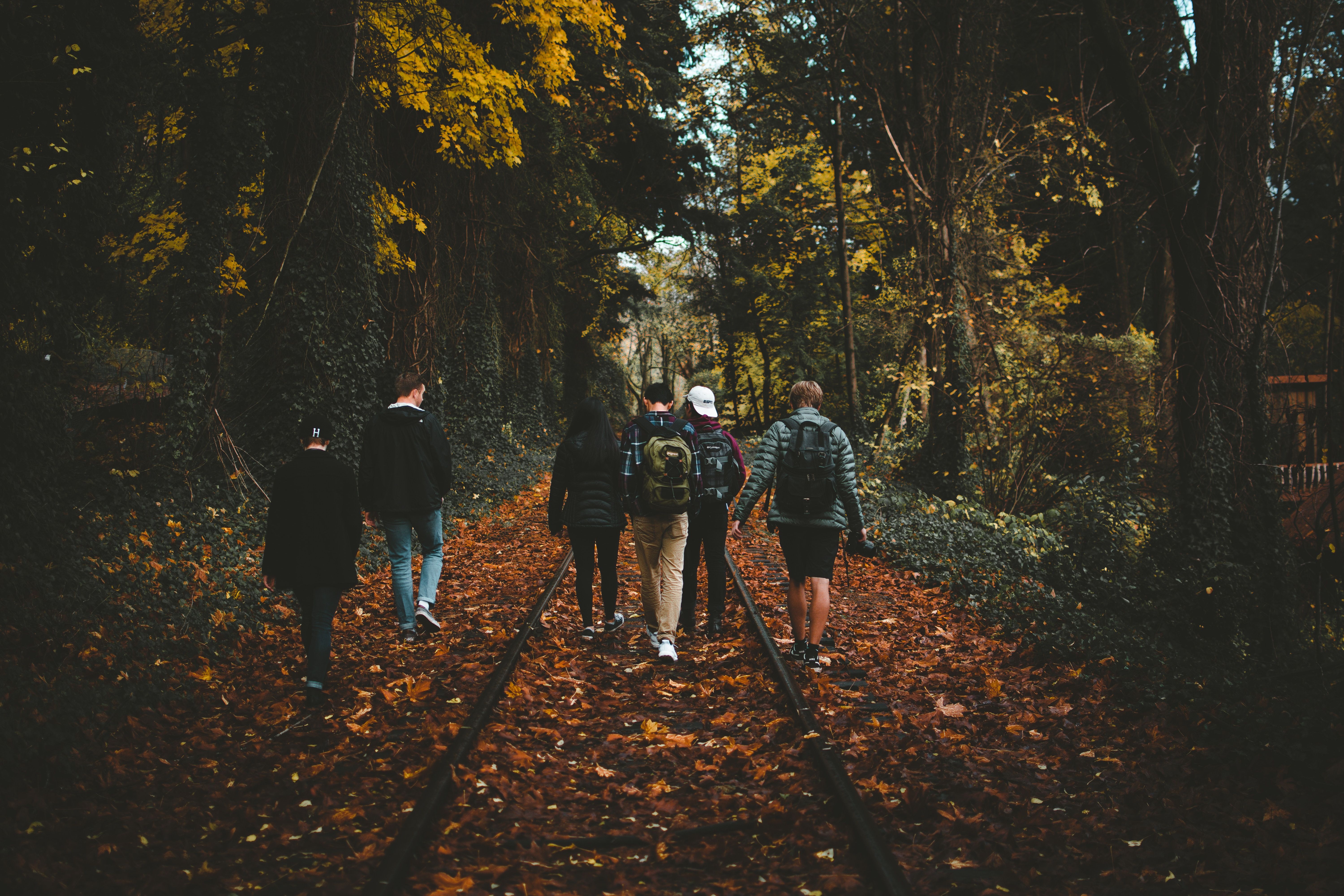 6000x4000 #friends, #fall, #woodland, #hat, #train, #male, #leaves, #railroad, #railway, #train track, #track, #forest, #Free image, #man, #group, #woman, #camera, #walking, #leaf, #autumn, #female. Mocah.org HD Desktop Wallpaper