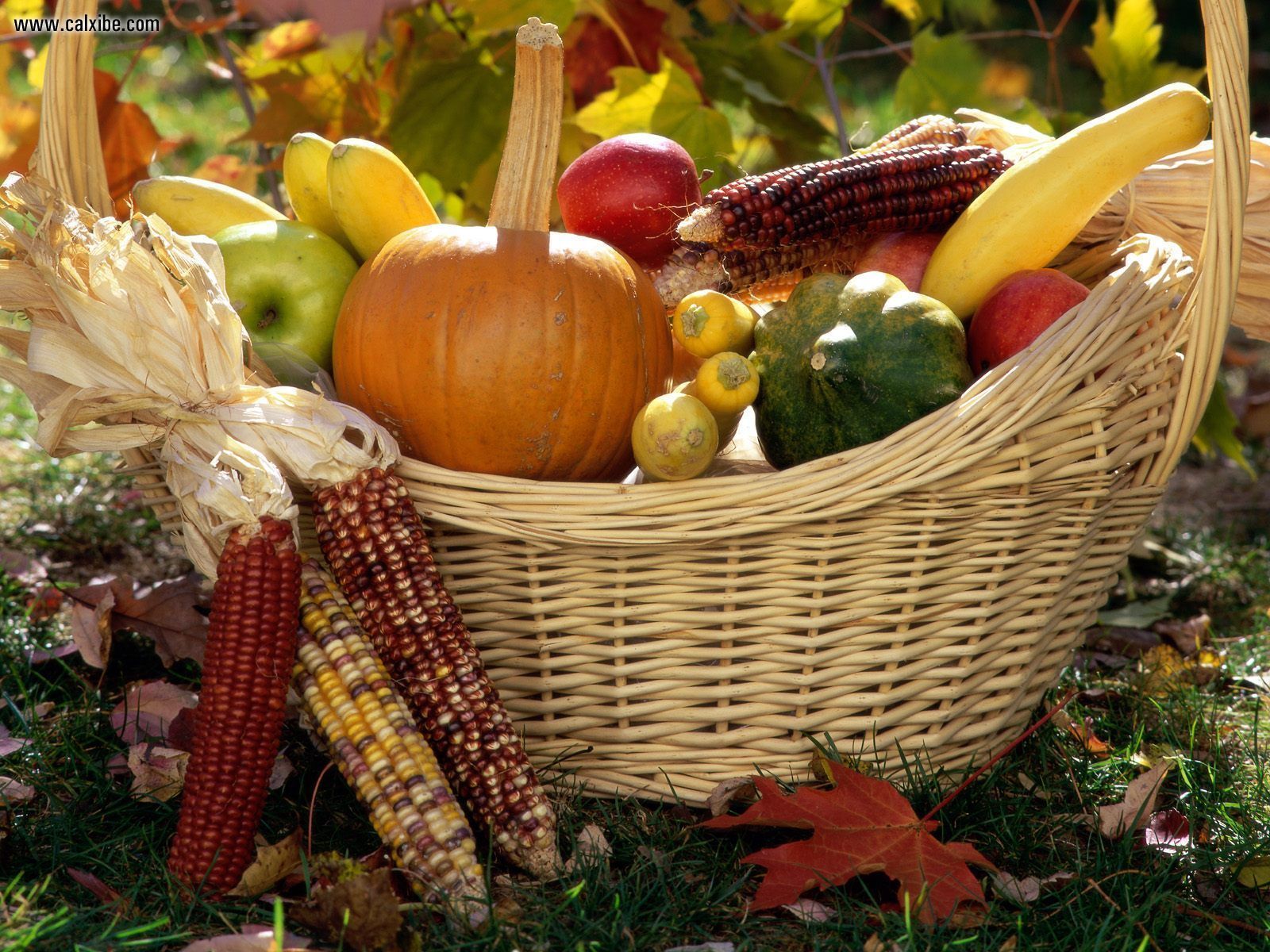 Autumn Lights Picture: Autumn Harvest Desktop Wallpaper