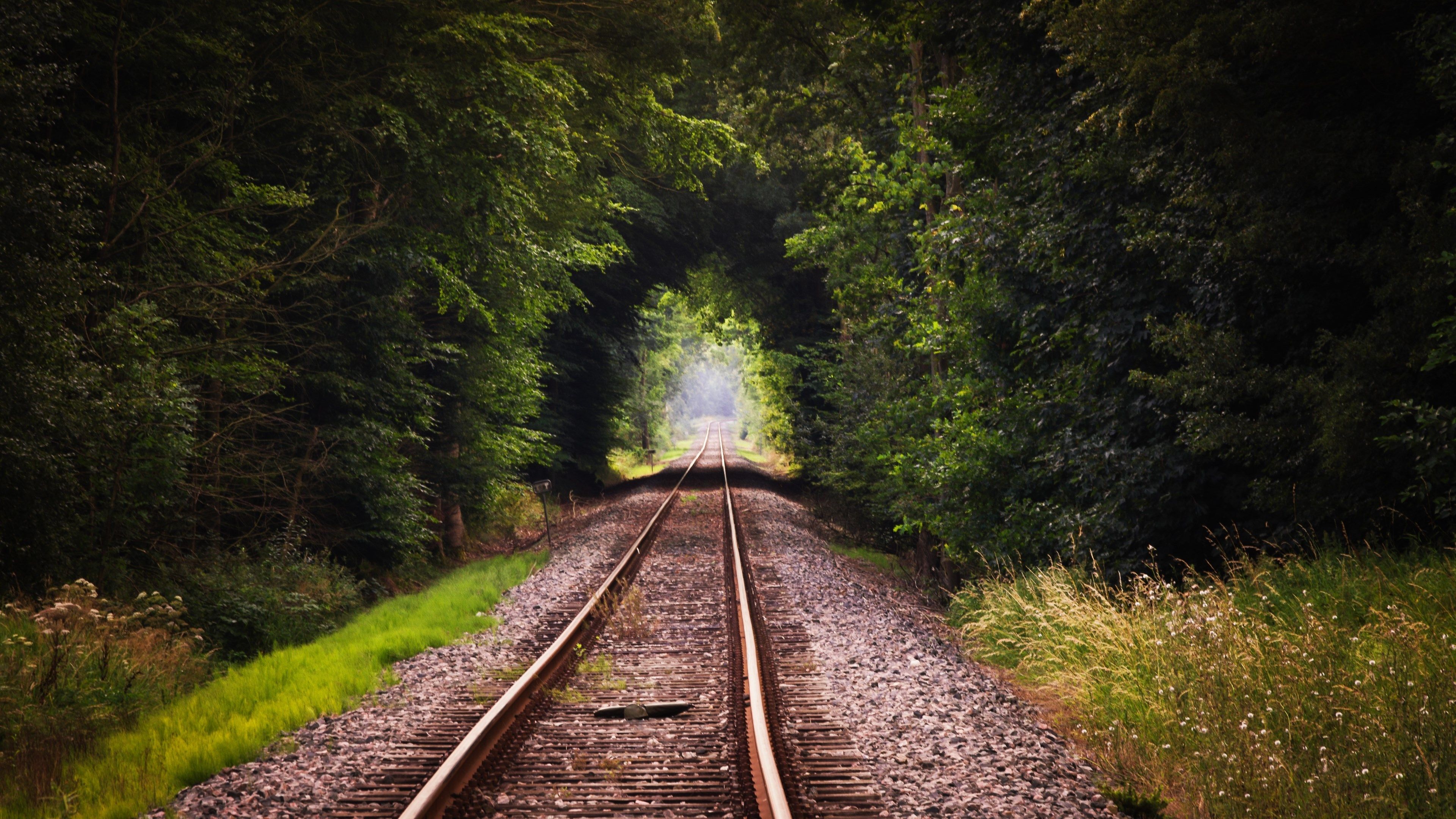 Download 3840x2160 Railroad in the forest wallpaper