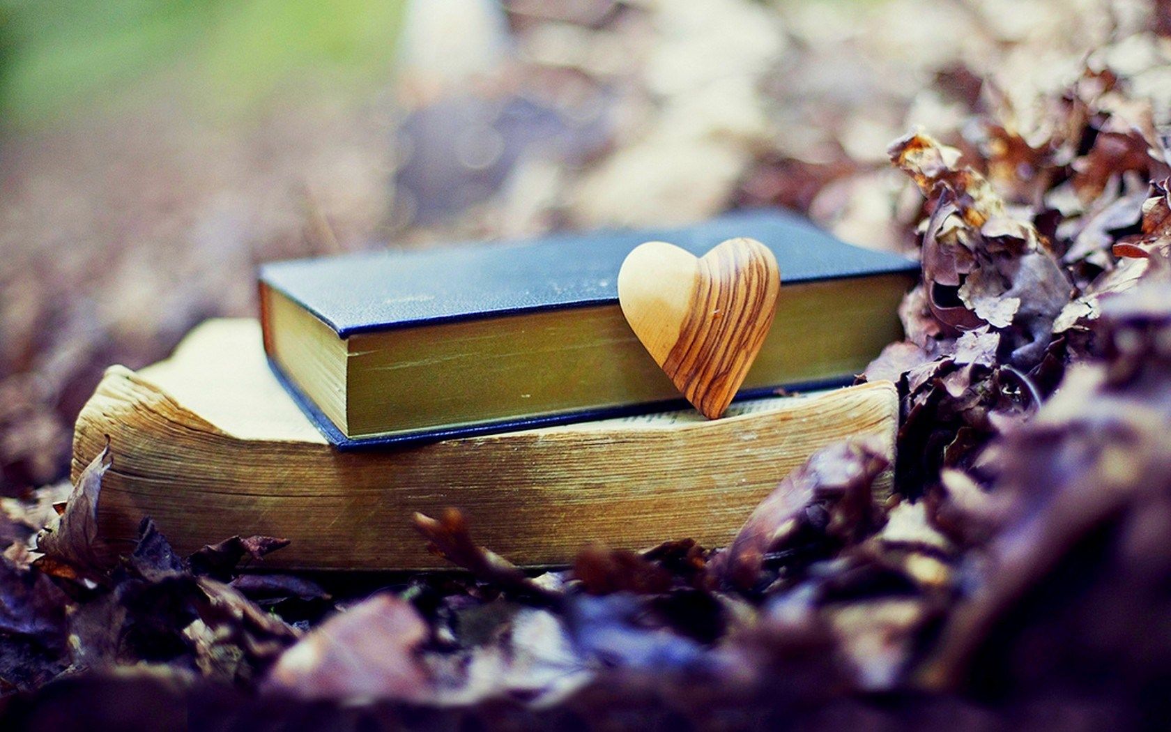 Autumn Leaves Books Heart Fall Love