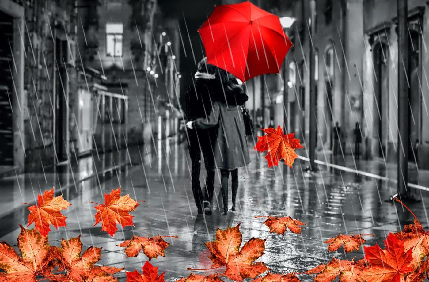Autumn Love live wallpaper for Android