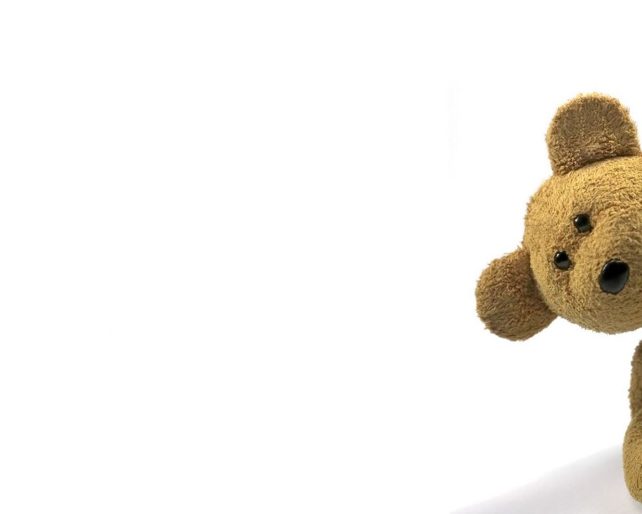 Free download wallpaper cute teddy bear Wallpaper [1600x1065] for your Desktop, Mobile & Tablet. Explore Cute Bear Wallpaper. Free Teddy Bear Wallpaper, HD Bear Wallpaper, Teddy Bear HD Wallpaper