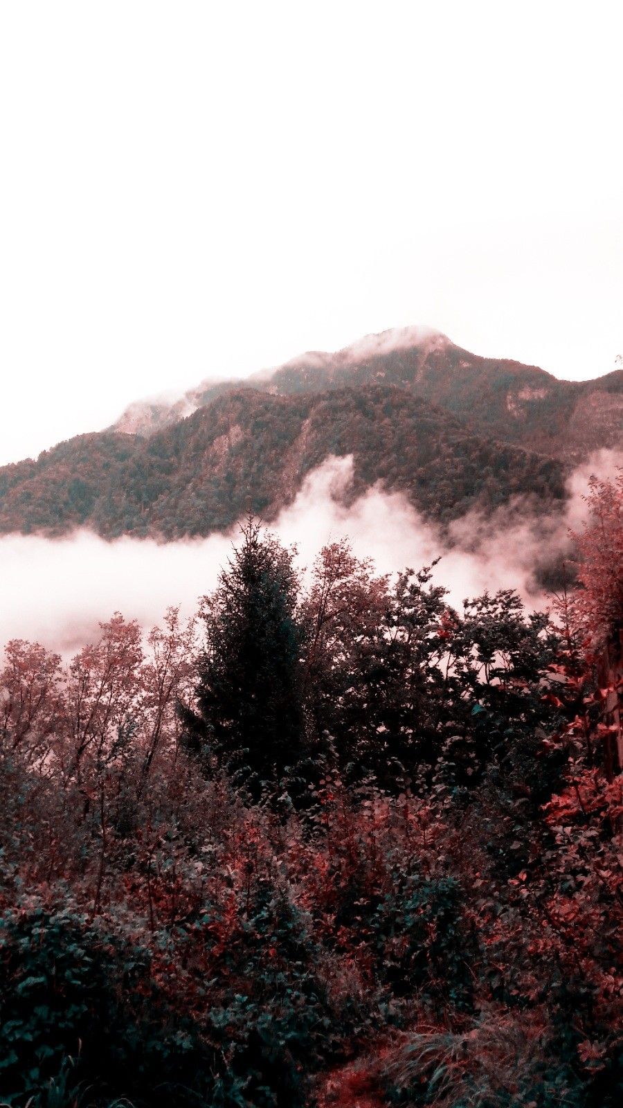 red #mountain #forest #cloud #fog #mountains #fall #autumn #slovenia # wallpaper #wallpaper #retro. Clouds, Wallpaper, Wallpaper