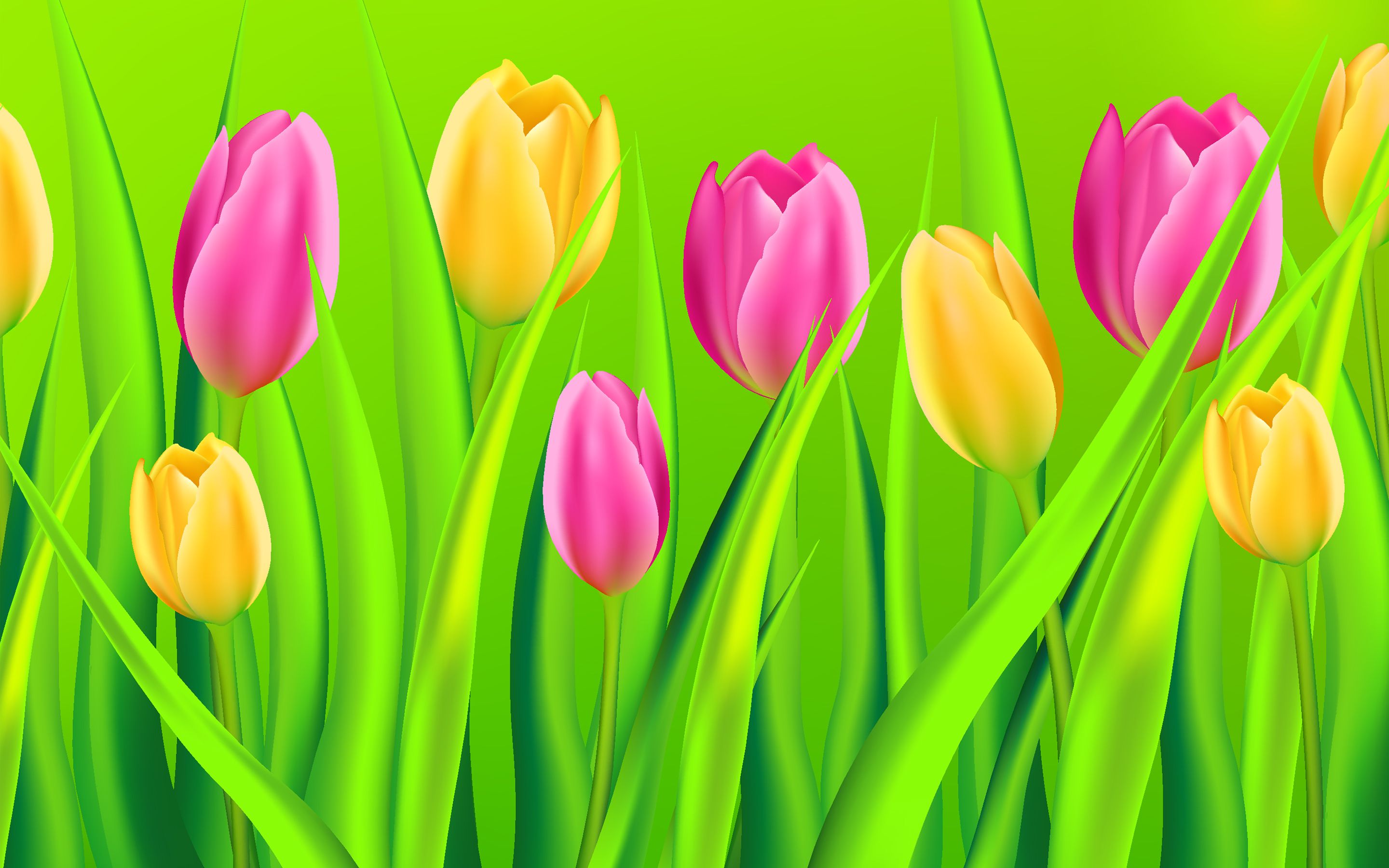Download wallpaper purple tulips, yellow tulips, spring flowers, background with tulips, cartoon tulips, beautiful flowers, tulips for desktop with resolution 2880x1800. High Quality HD picture wallpaper
