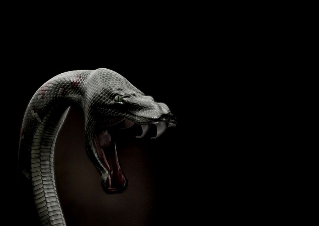 Kobe Bryant Black Mamba Wallpaper Free Epic Wallpaperz 1072x761