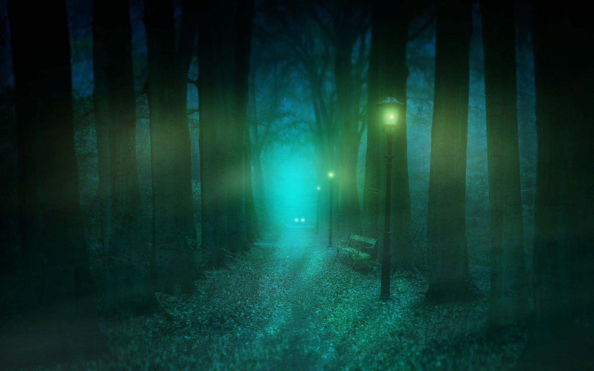 Download 1920x1200 Forest, Night, Fog, Trees, Mystical Vibes Wallpaper for MacBook Pro 17 inch