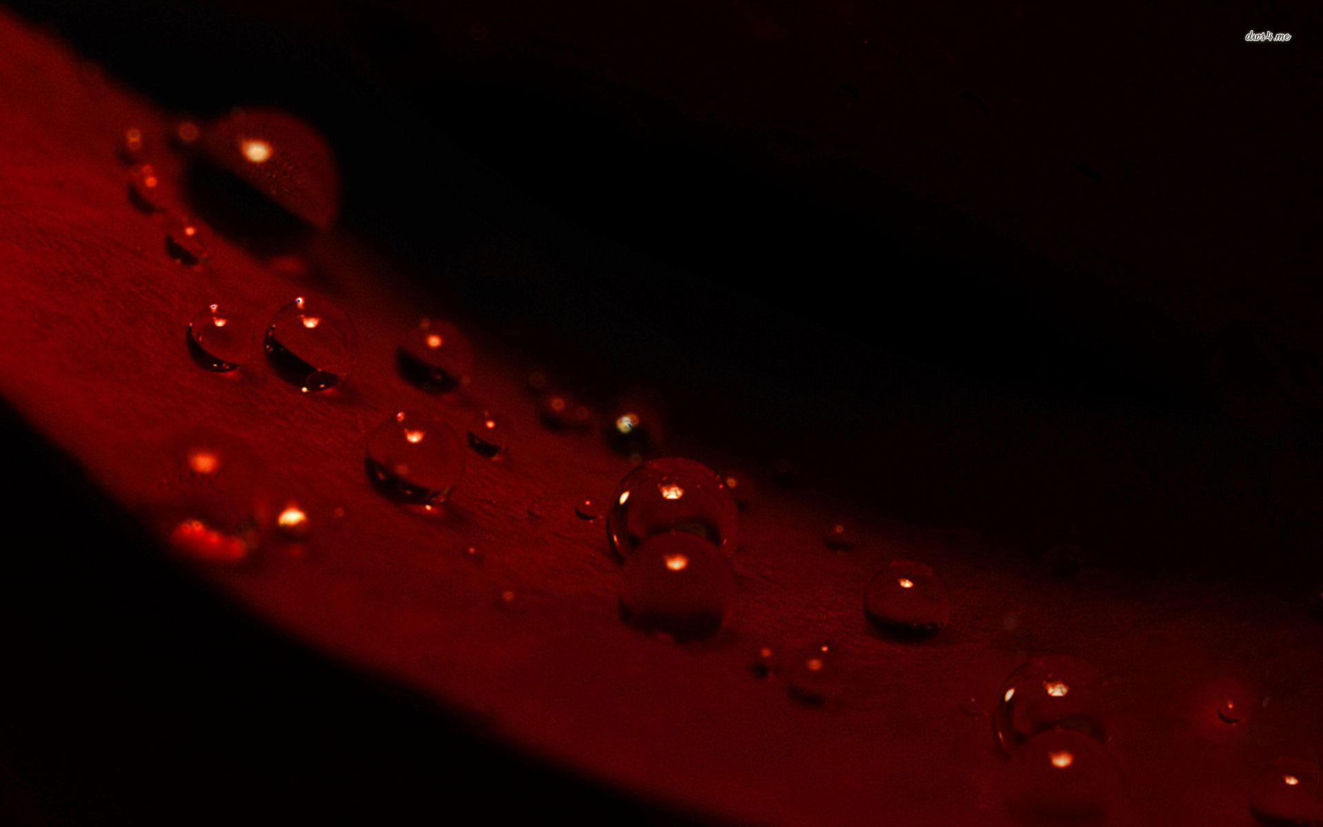 Free download Red Wine wallpaper 582636 [1920x1200] for your Desktop, Mobile & Tablet. Explore Red Wine Wallpaper. Cool Red Wallpaper, Red Wallpaper Designs, Free Wine Wallpaper