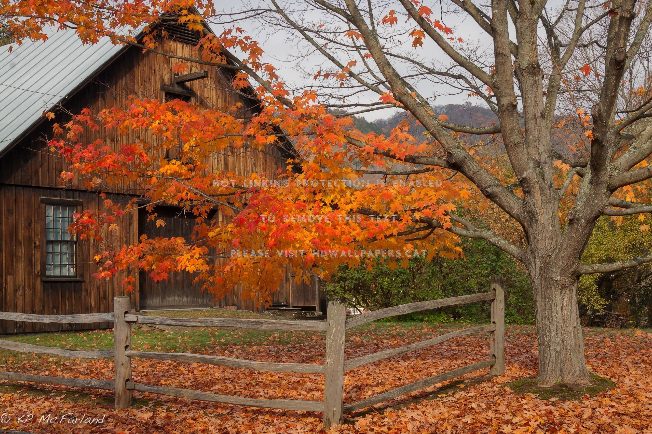 autumn barn landscape leaves fence colors
