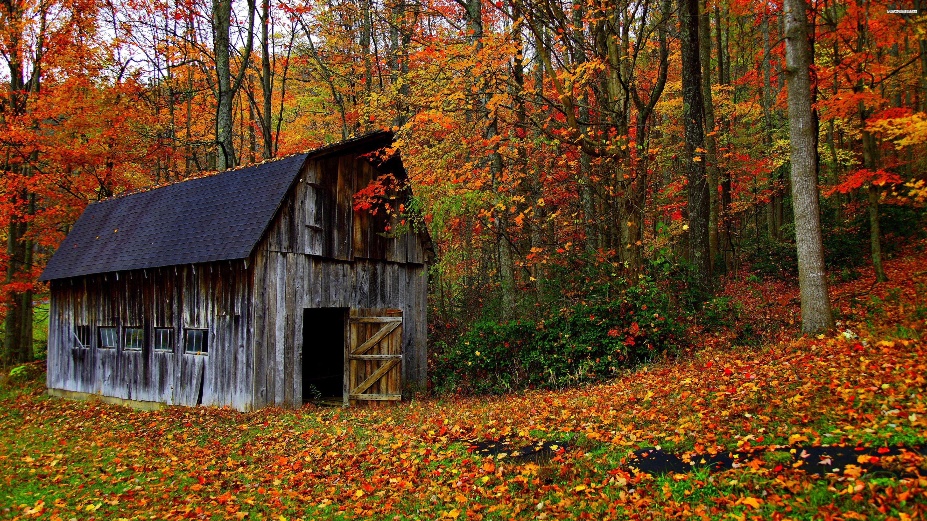 Fall Barn Wallpaper.GiftWatches.CO