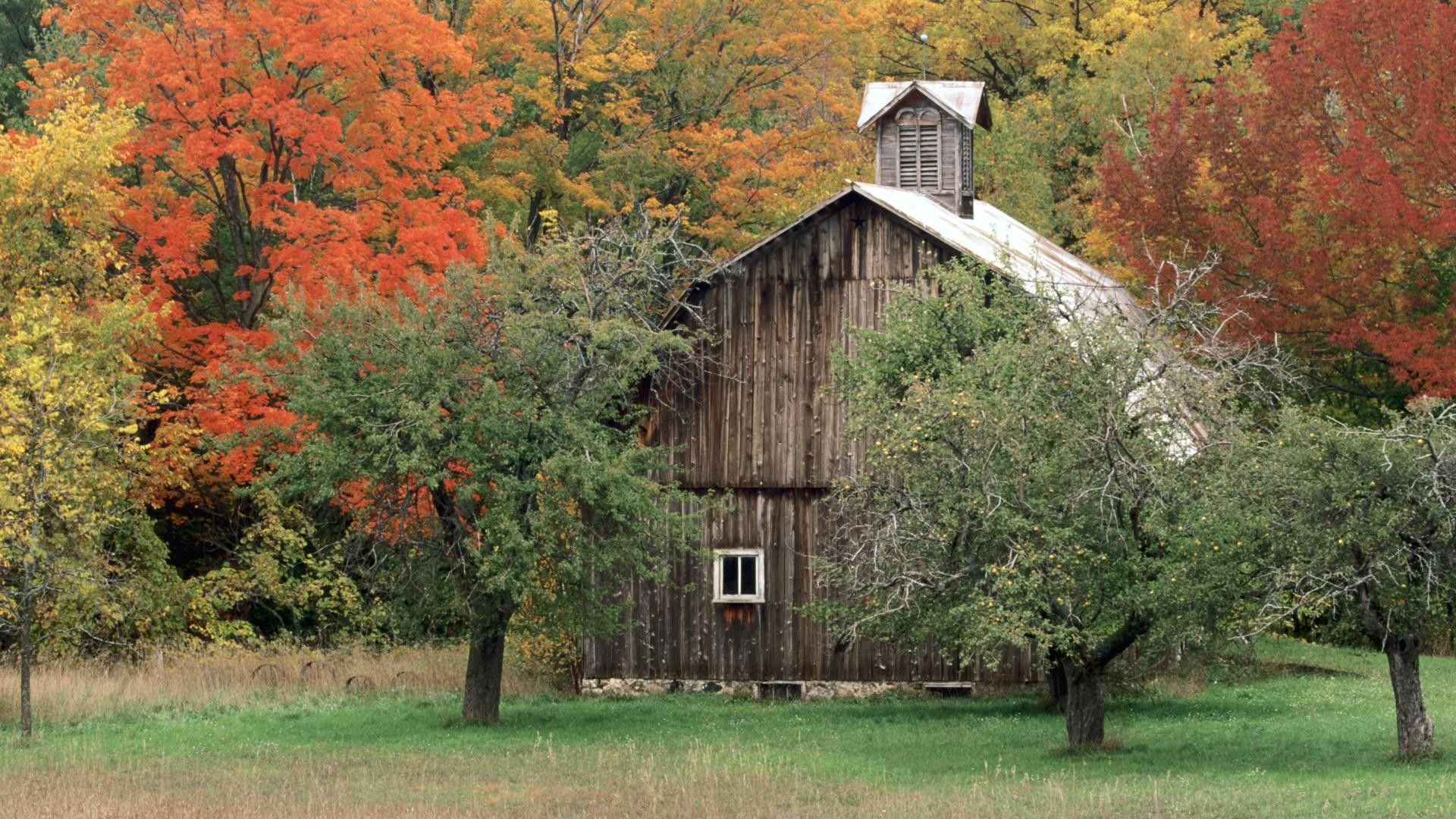 autumn, Michigan, Barn Wallpaper HD / Desktop and Mobile Background