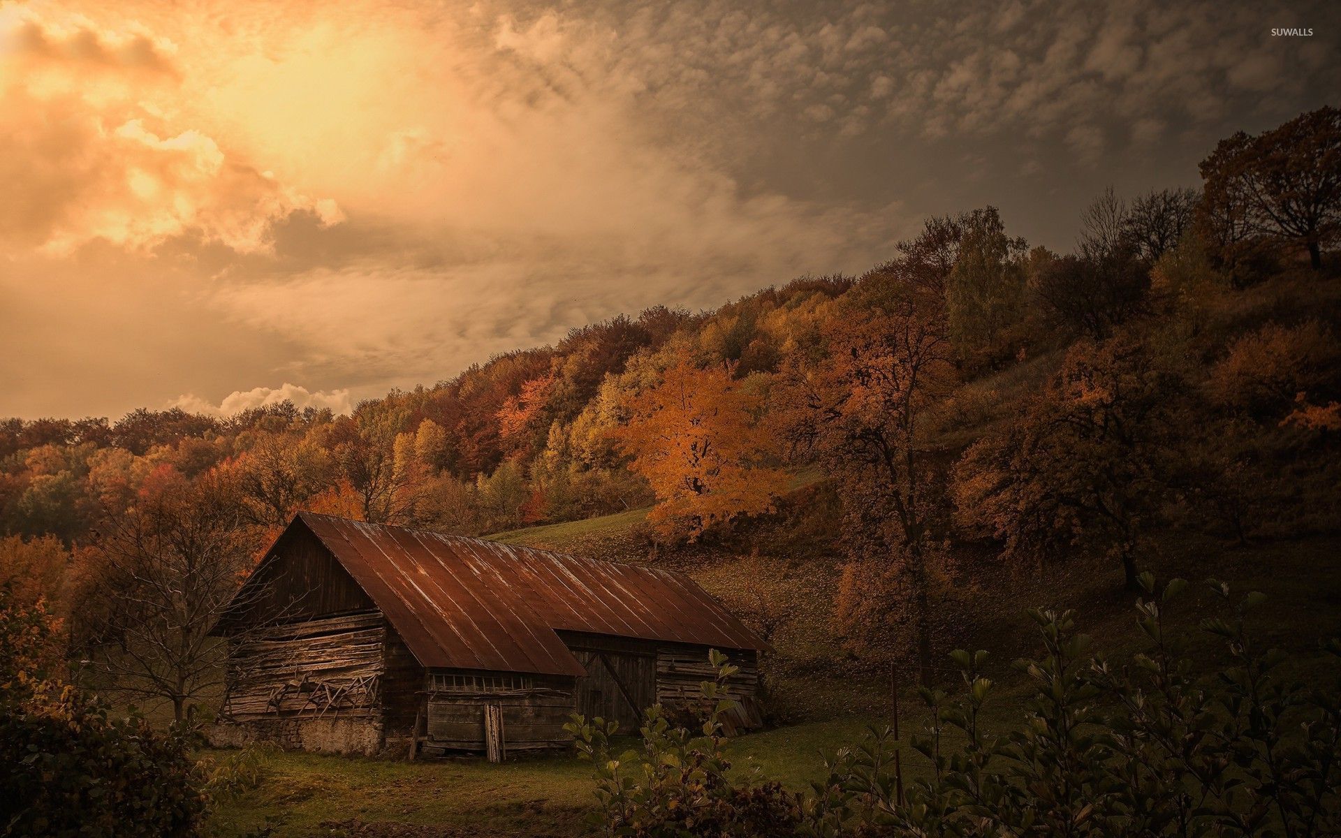 Old barn in autumn forest wallpaper wallpaper