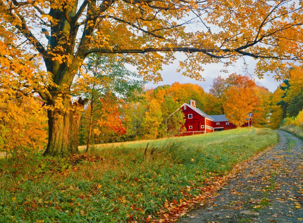 Beautiful Autumn Barn Photo Foliage Picture