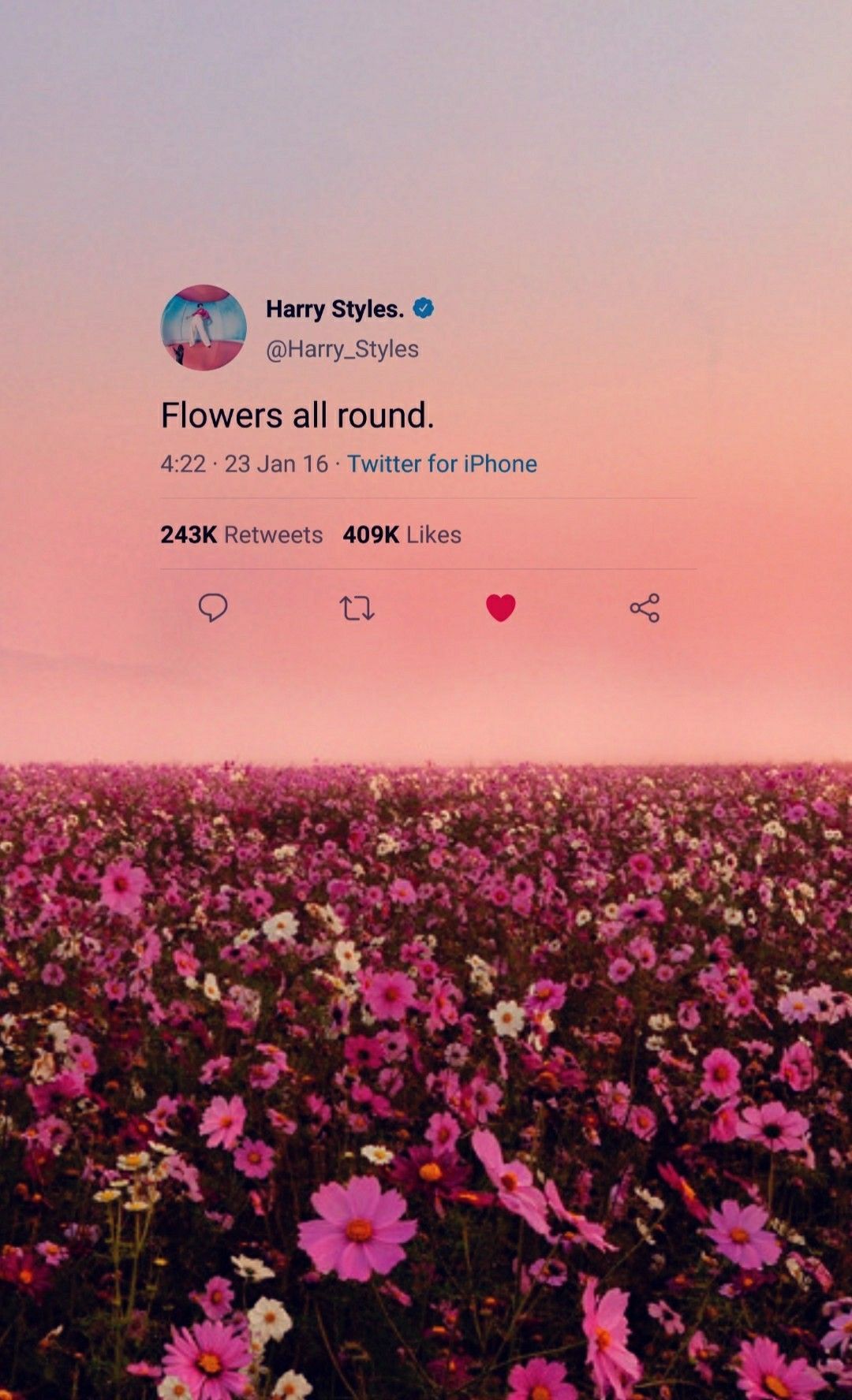 Flowers all round Styles tweet wallpaper. Harry styles wallpaper, Harry styles tweets, Harry styles quotes